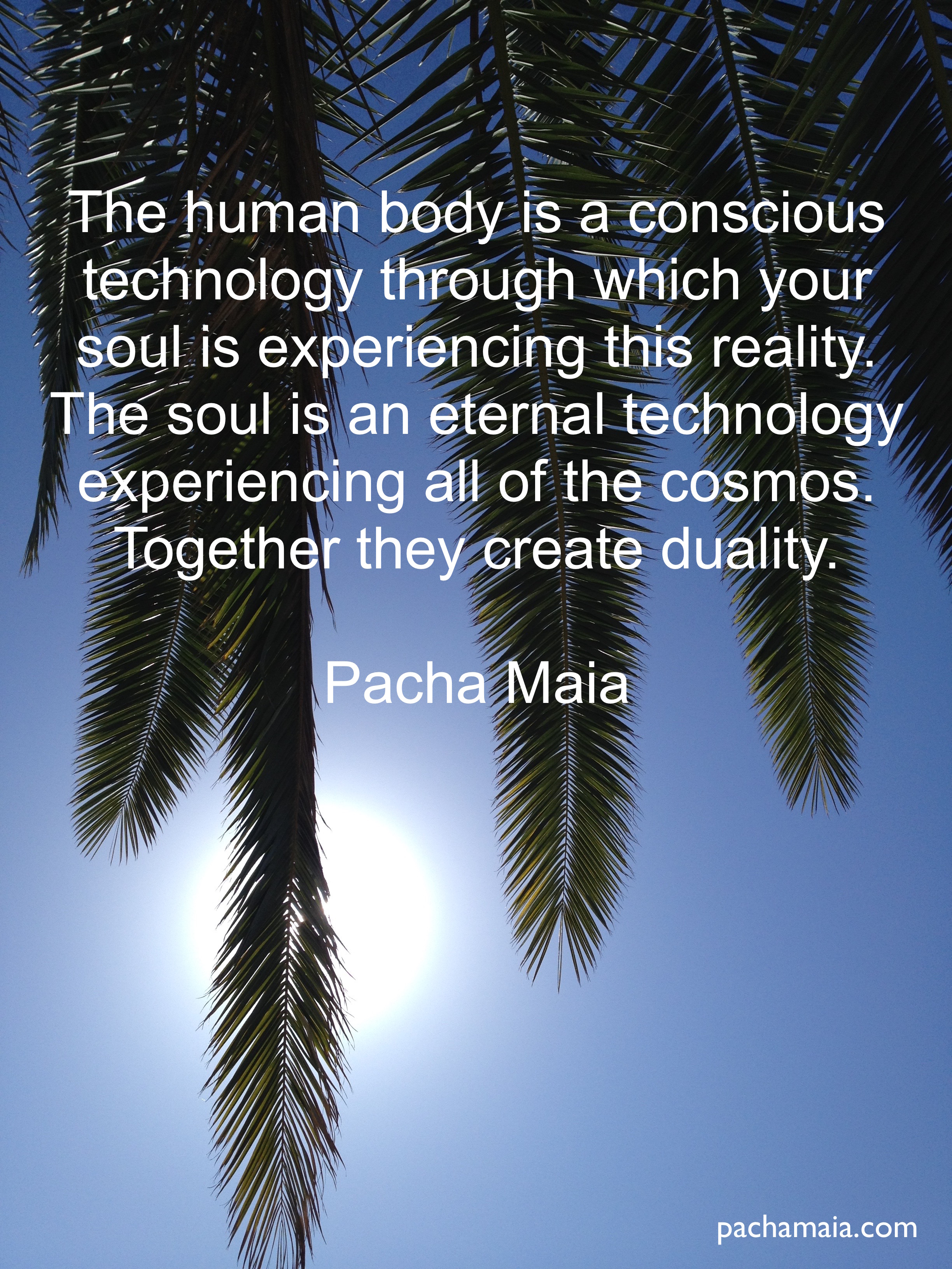 soul is a technology.jpeg
