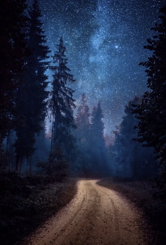 Image 2-28-23 at 12.05 PM.jpg