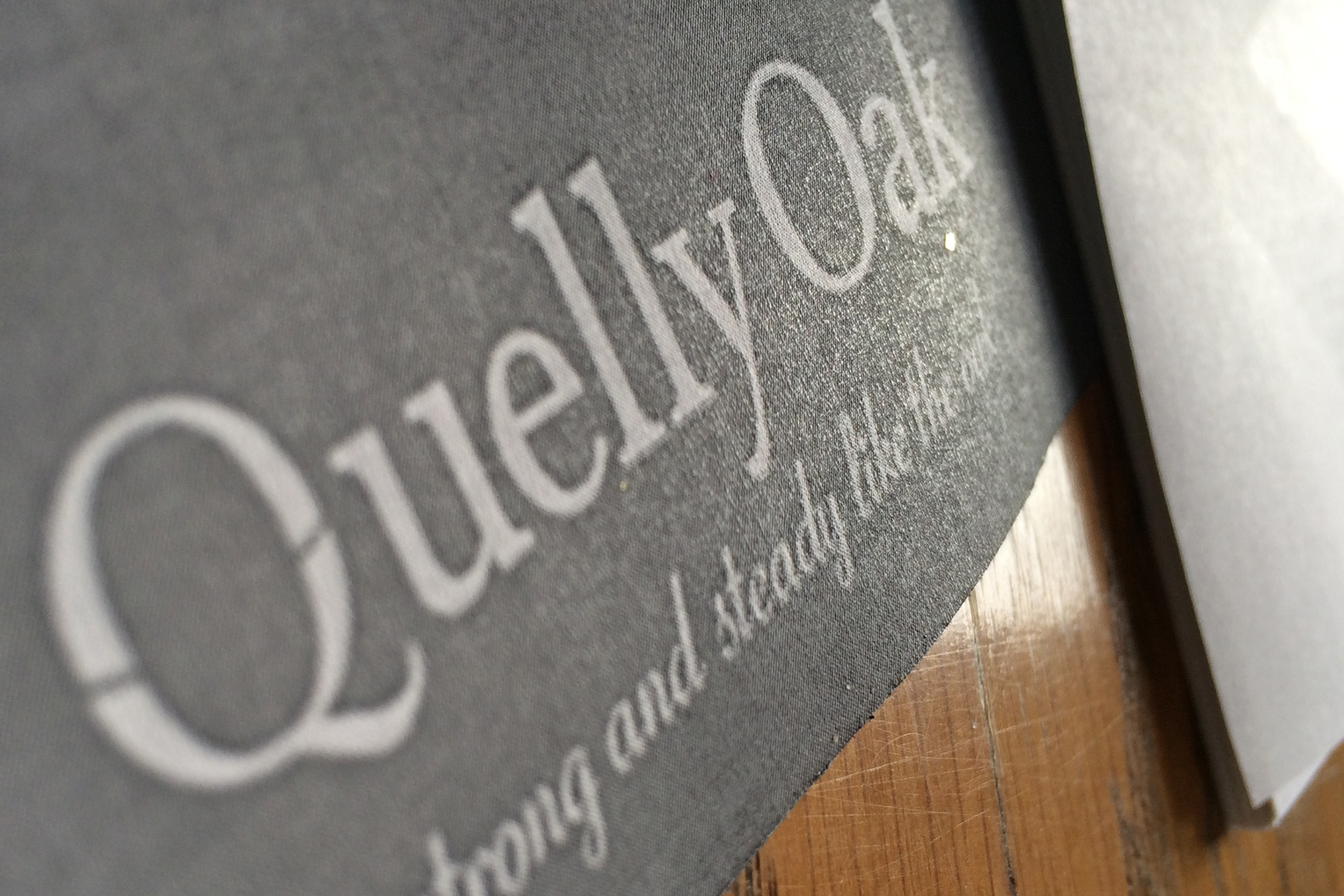 Quelly-brand.jpg