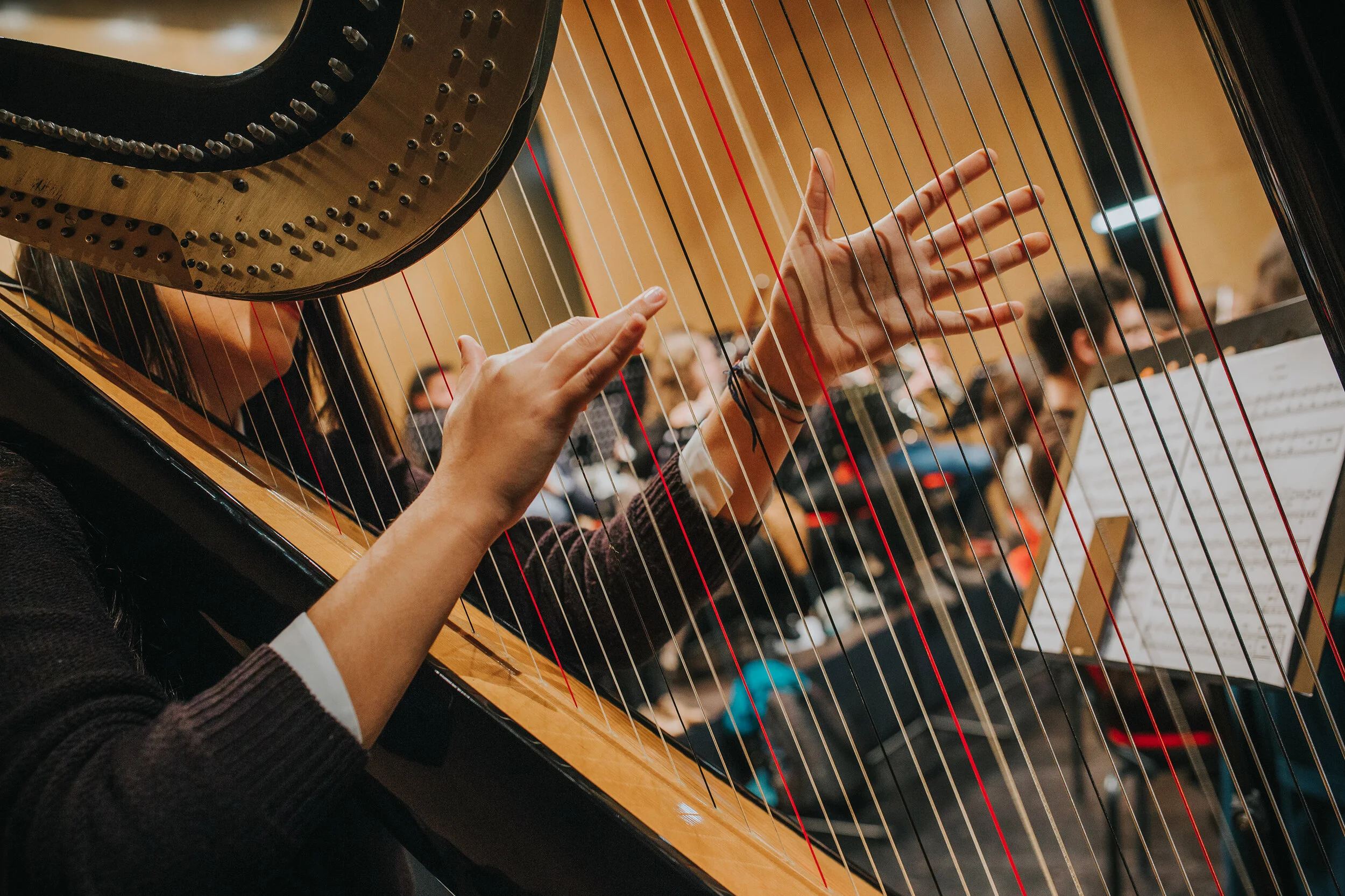 Orquestra-043.jpg