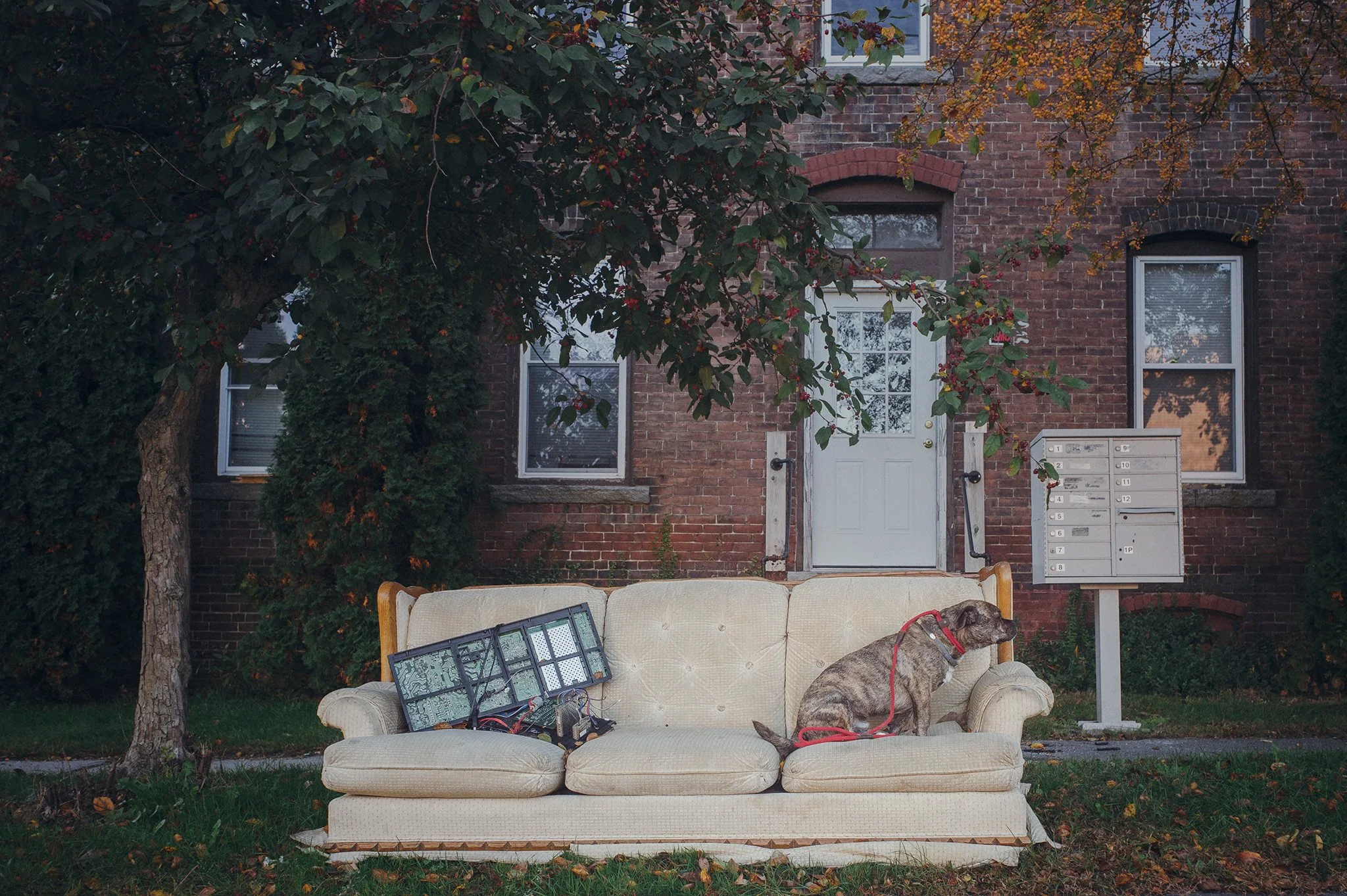 mario_tan_sofa_fb.jpg
