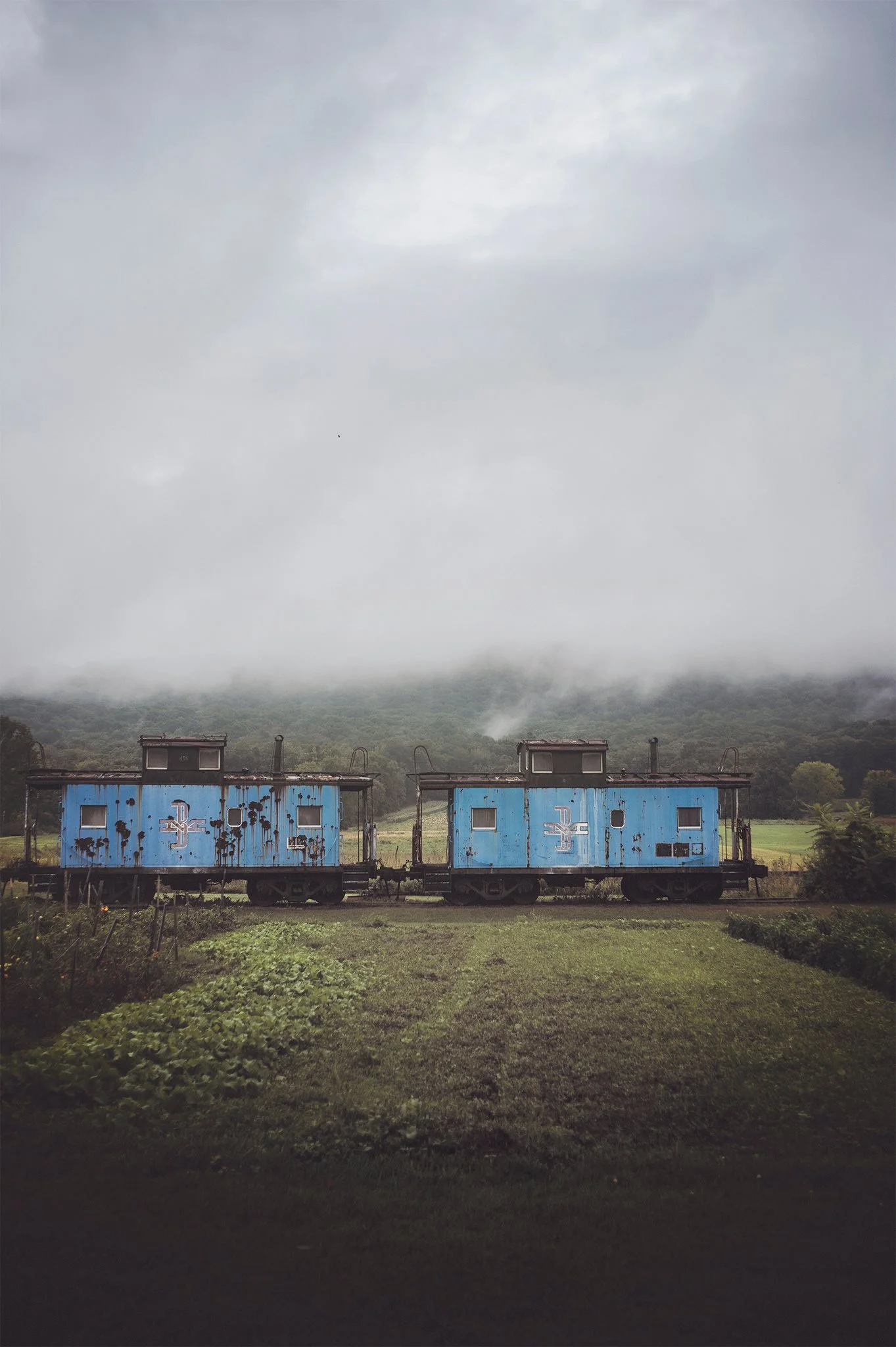 trains_fb.jpg