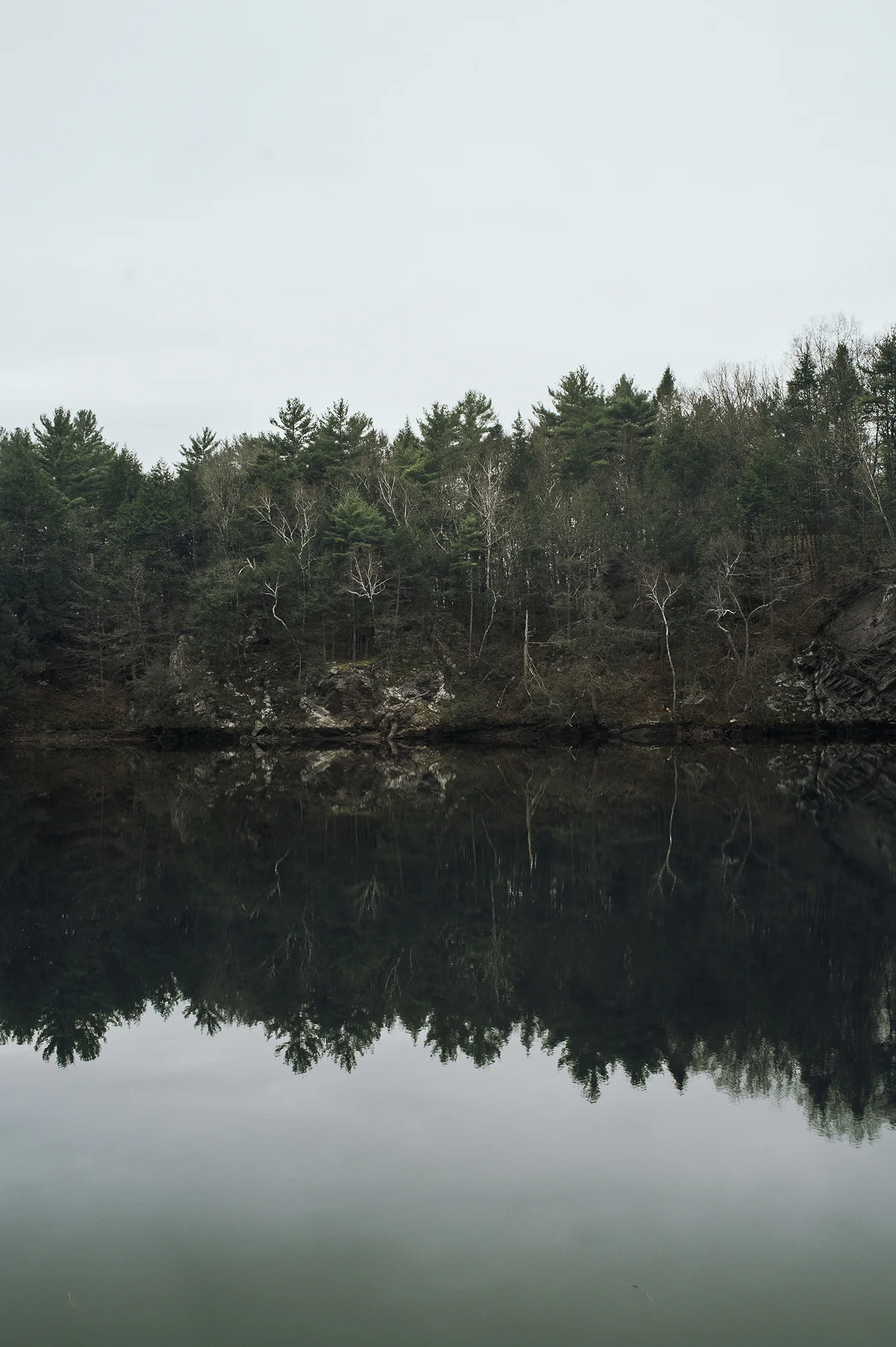 forest_river_fb.jpg