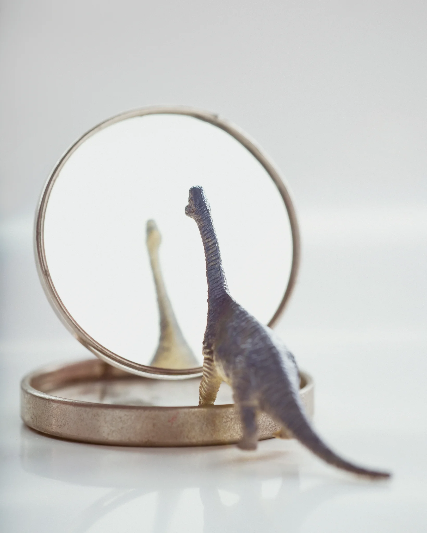 dinosaur_fb.jpg