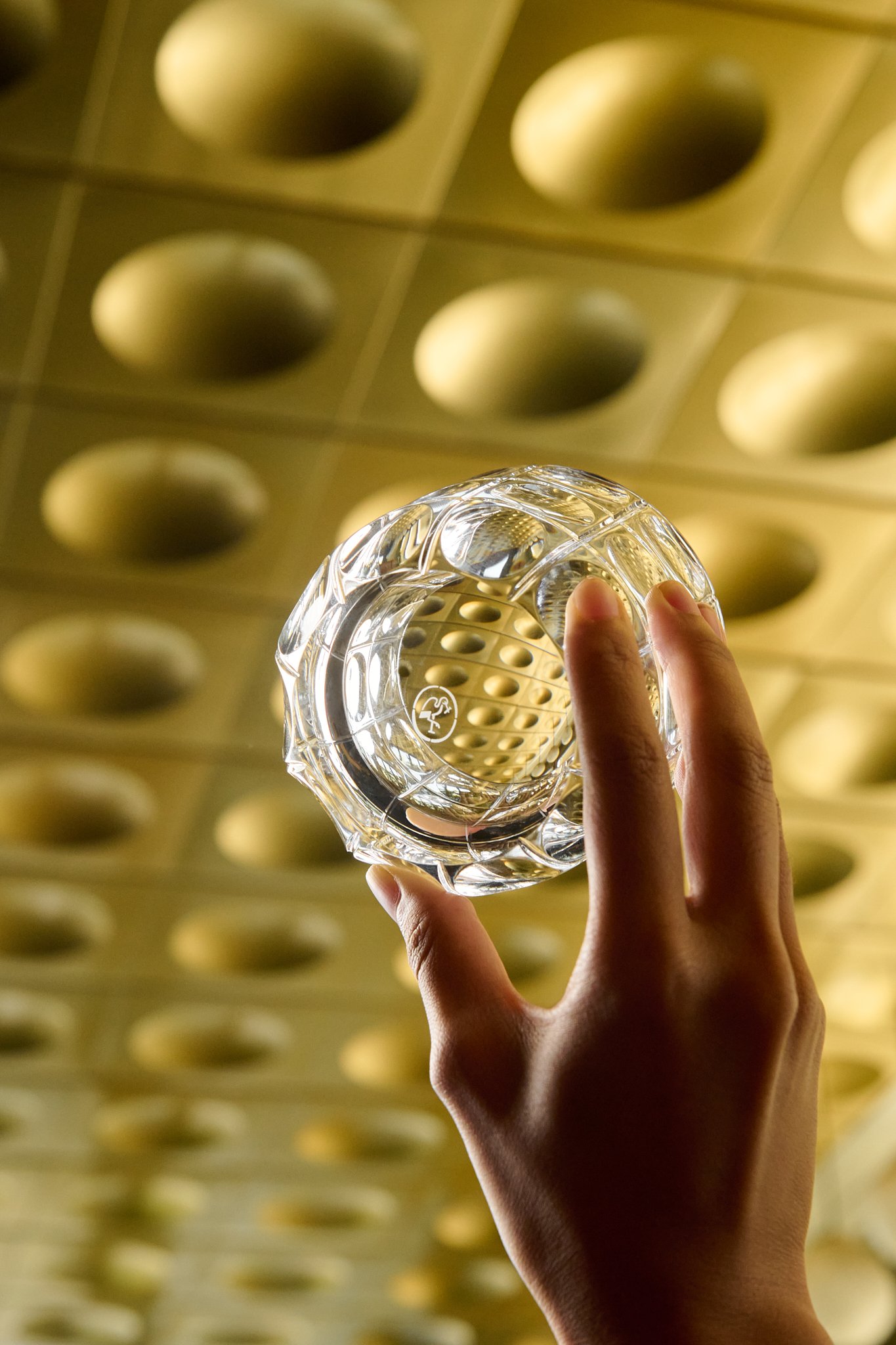 Ruckl_DB_09_25_38431_websize (1).jpg