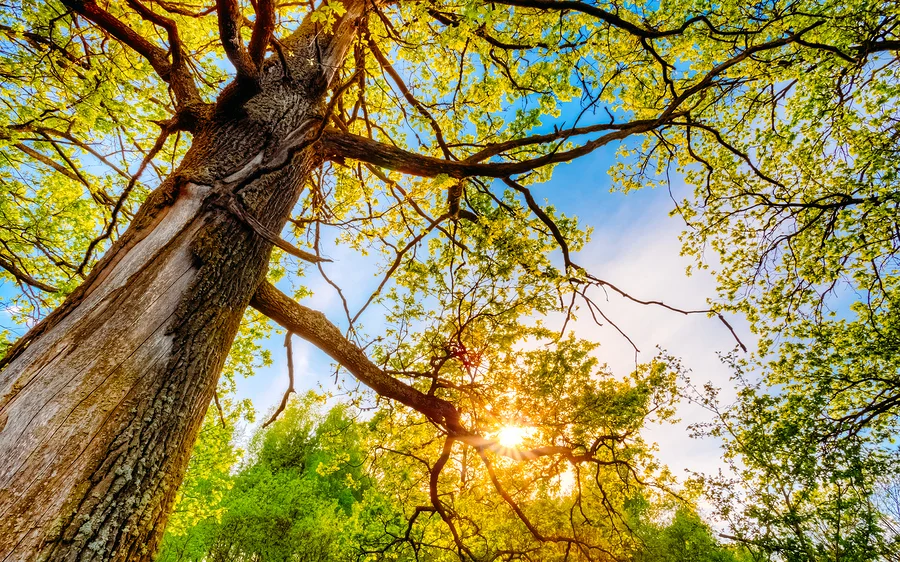 Intentional Life Together