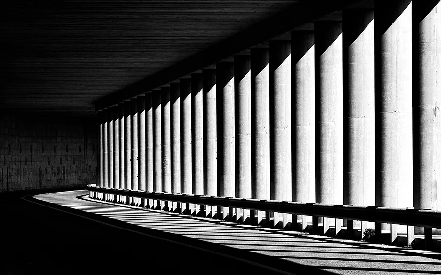 The Gray Areas of Being Human