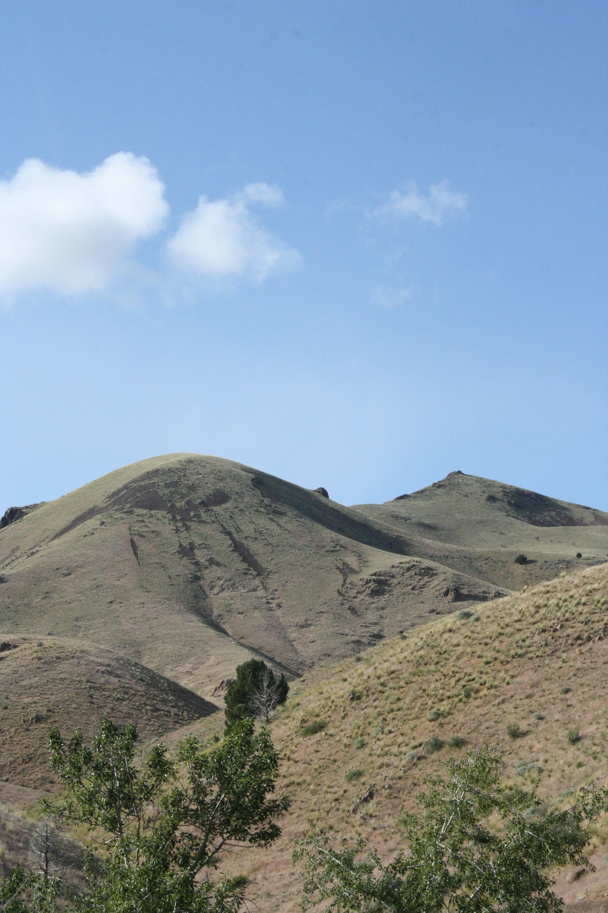 The Places People Go