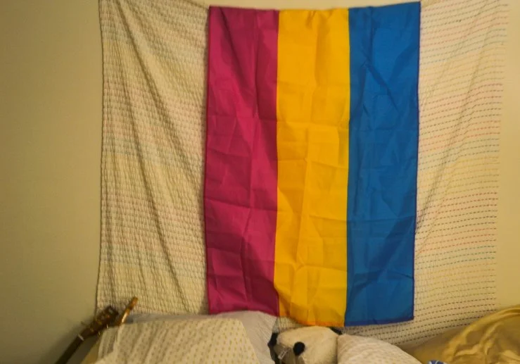 The pride flag in my bedroom. (photo credit: rachel virginia hester)