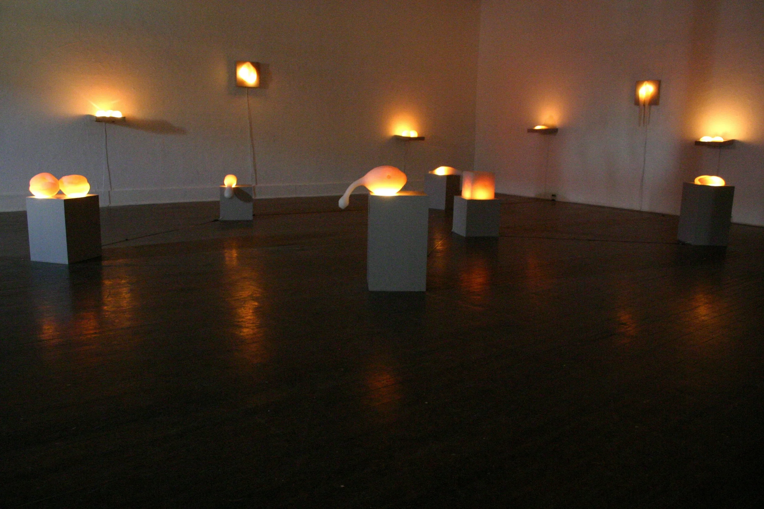 show FV.jpg