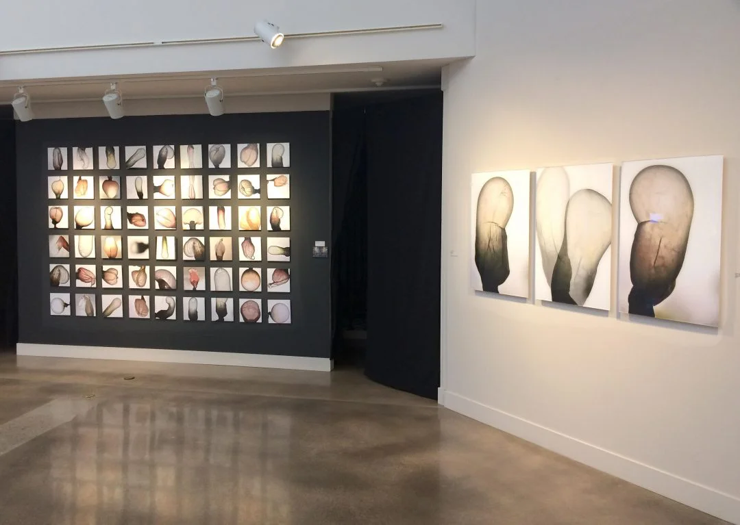 Debra Sanders: Detail of installation at the Arvada Center. (Provided by the Arvada Center)