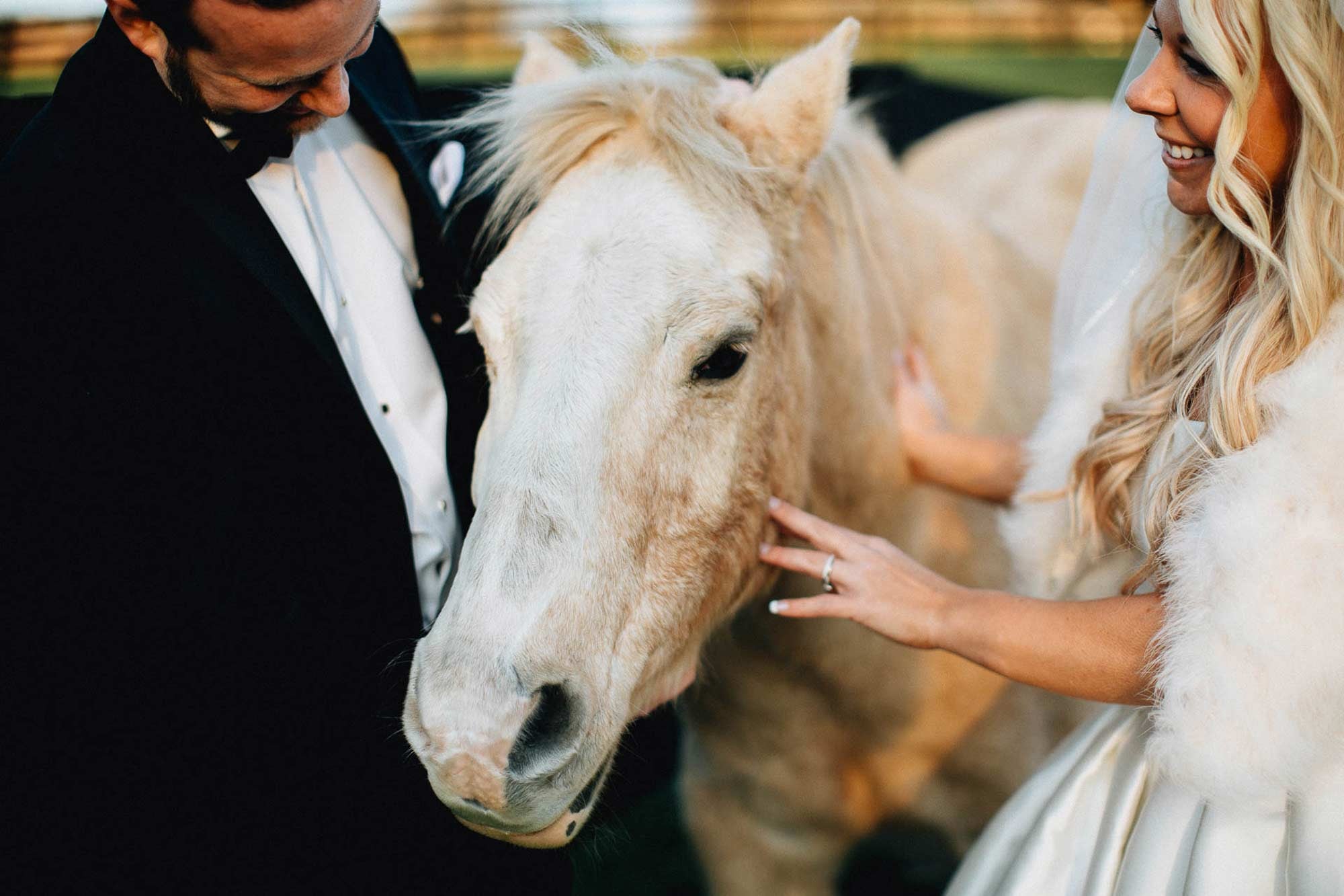 Horses and Brides - Canopy Creek Wedding Photography
