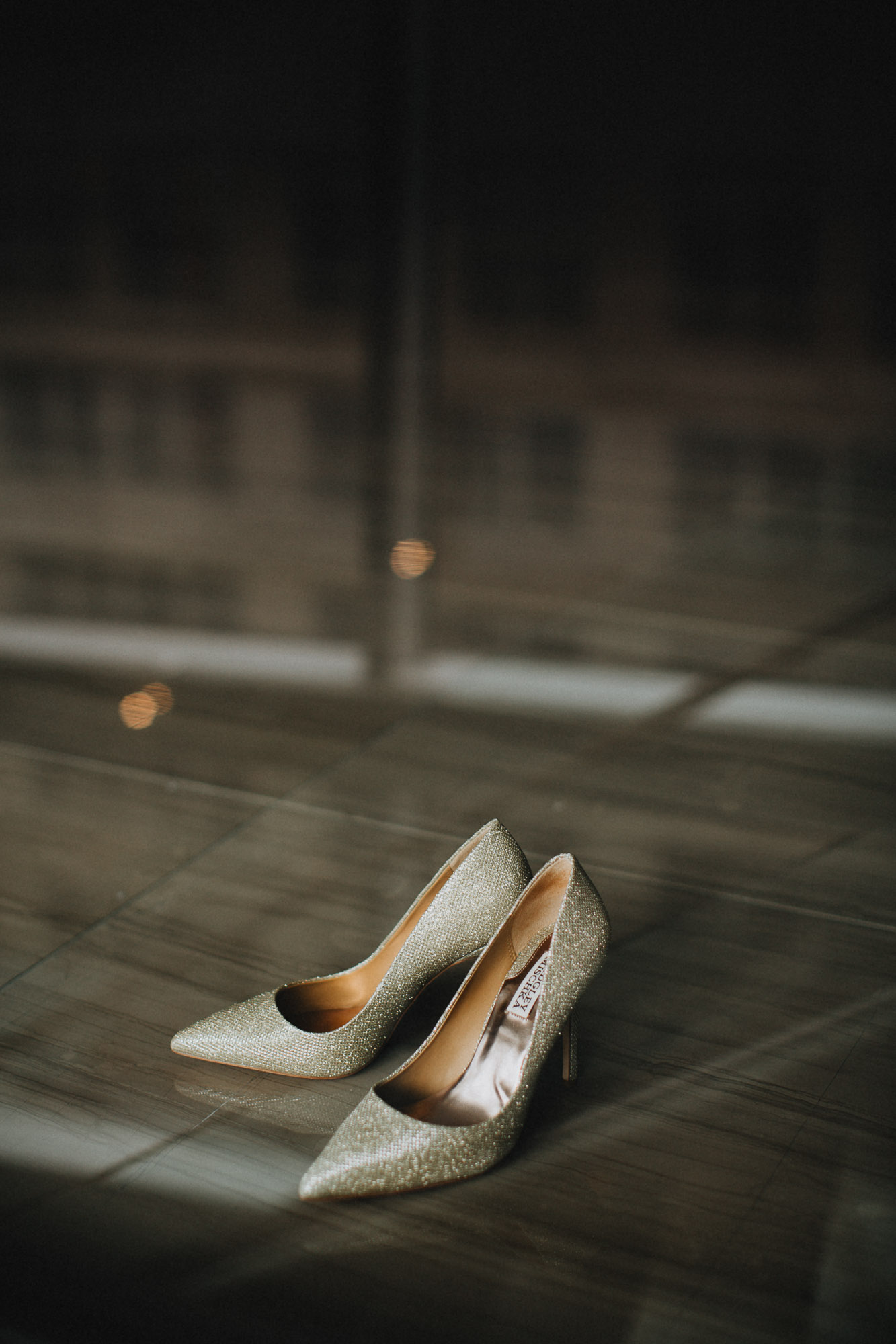 Alana-David-Cleveland-Old-Courthouse-Wedding-003@2x.jpg