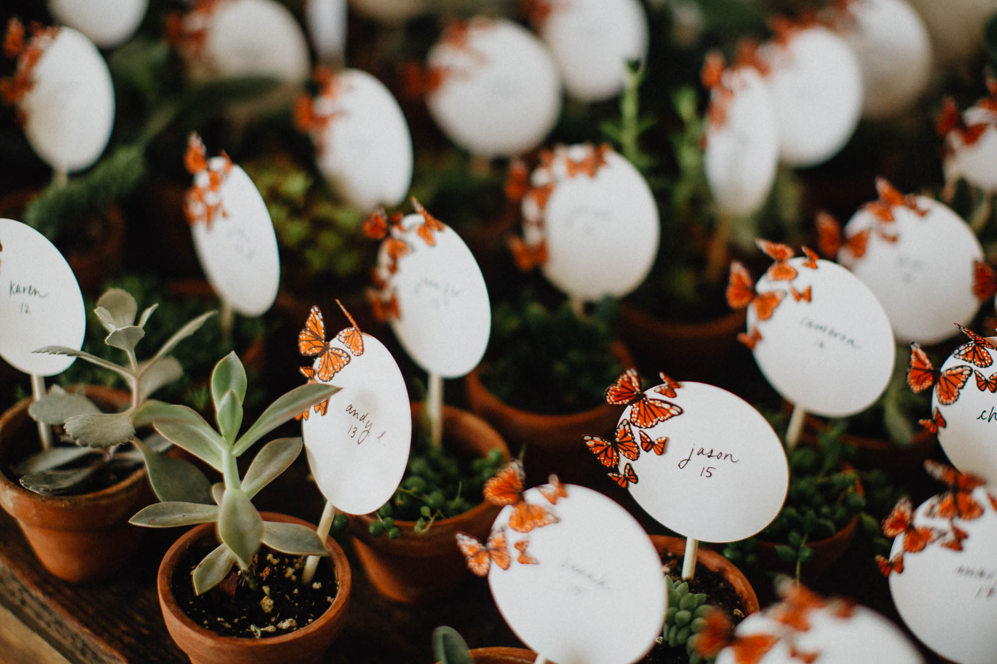 Cactus and Succulent Wedding Favors and Table Numbers