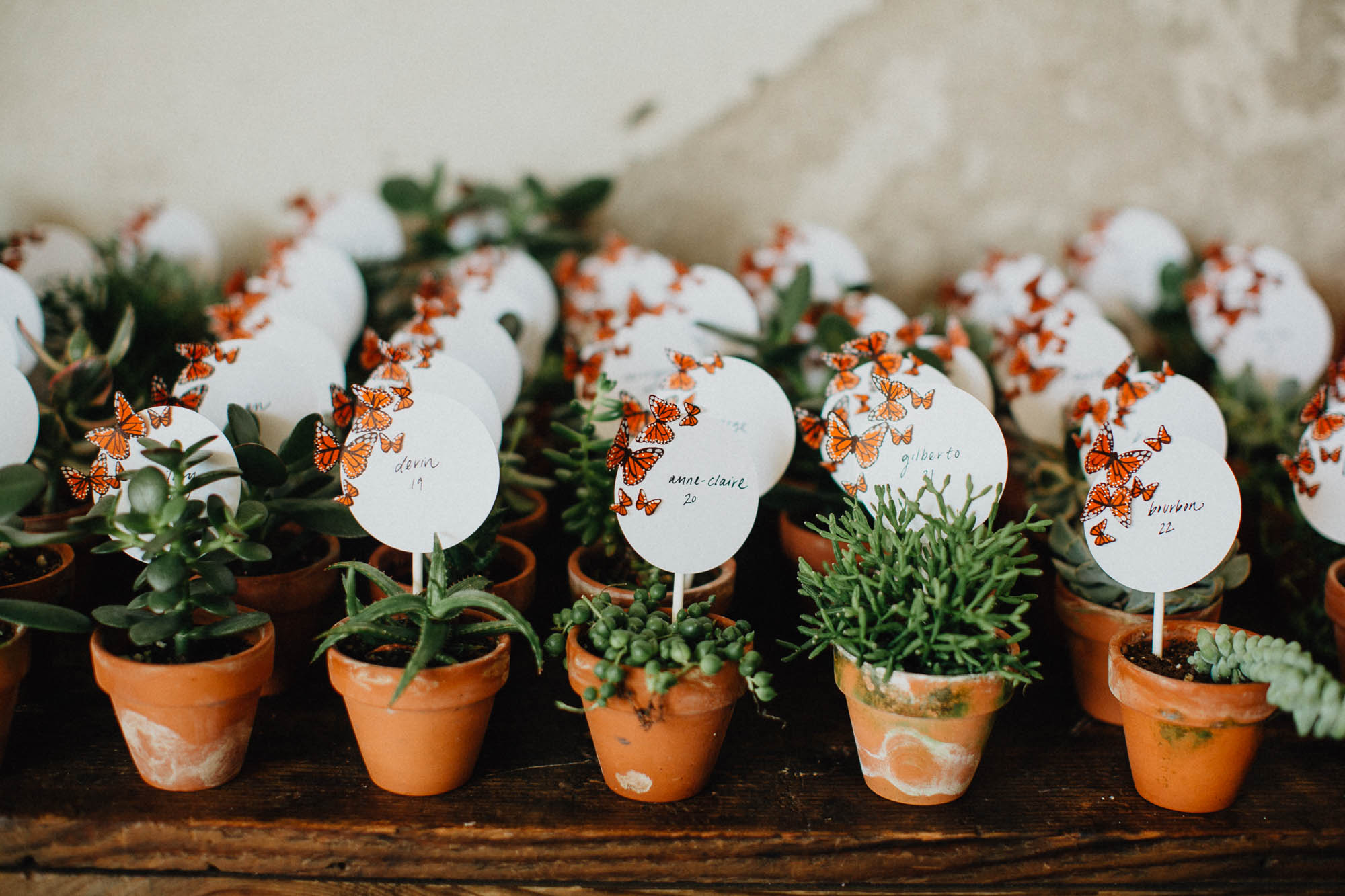 Cactus and Succulent Wedding Favors and Table Numbers at Strongwater