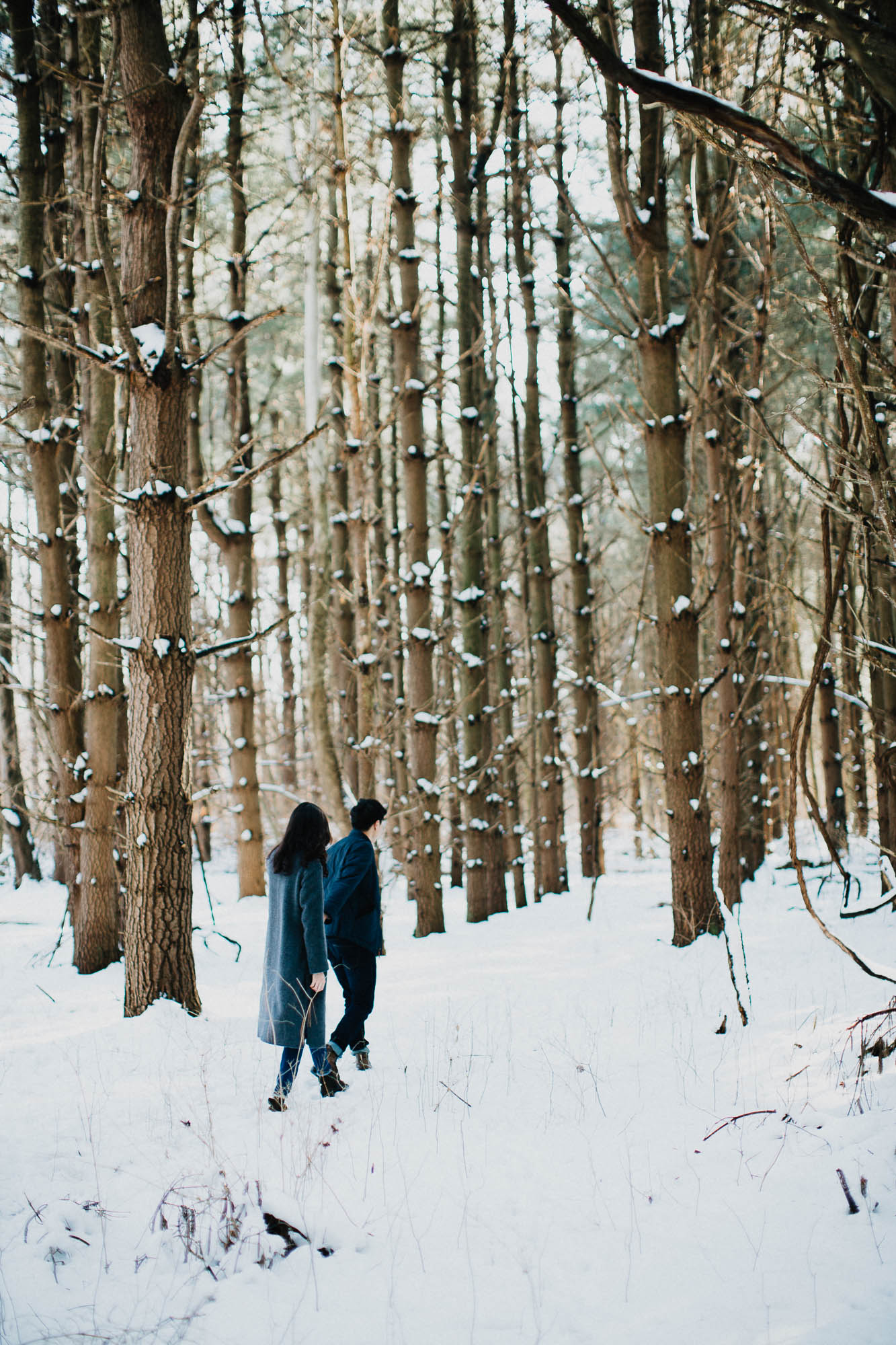 Joy-David-Walnut-Woods-Metropark-Engagement-Columbus-Ohio-010.jpg