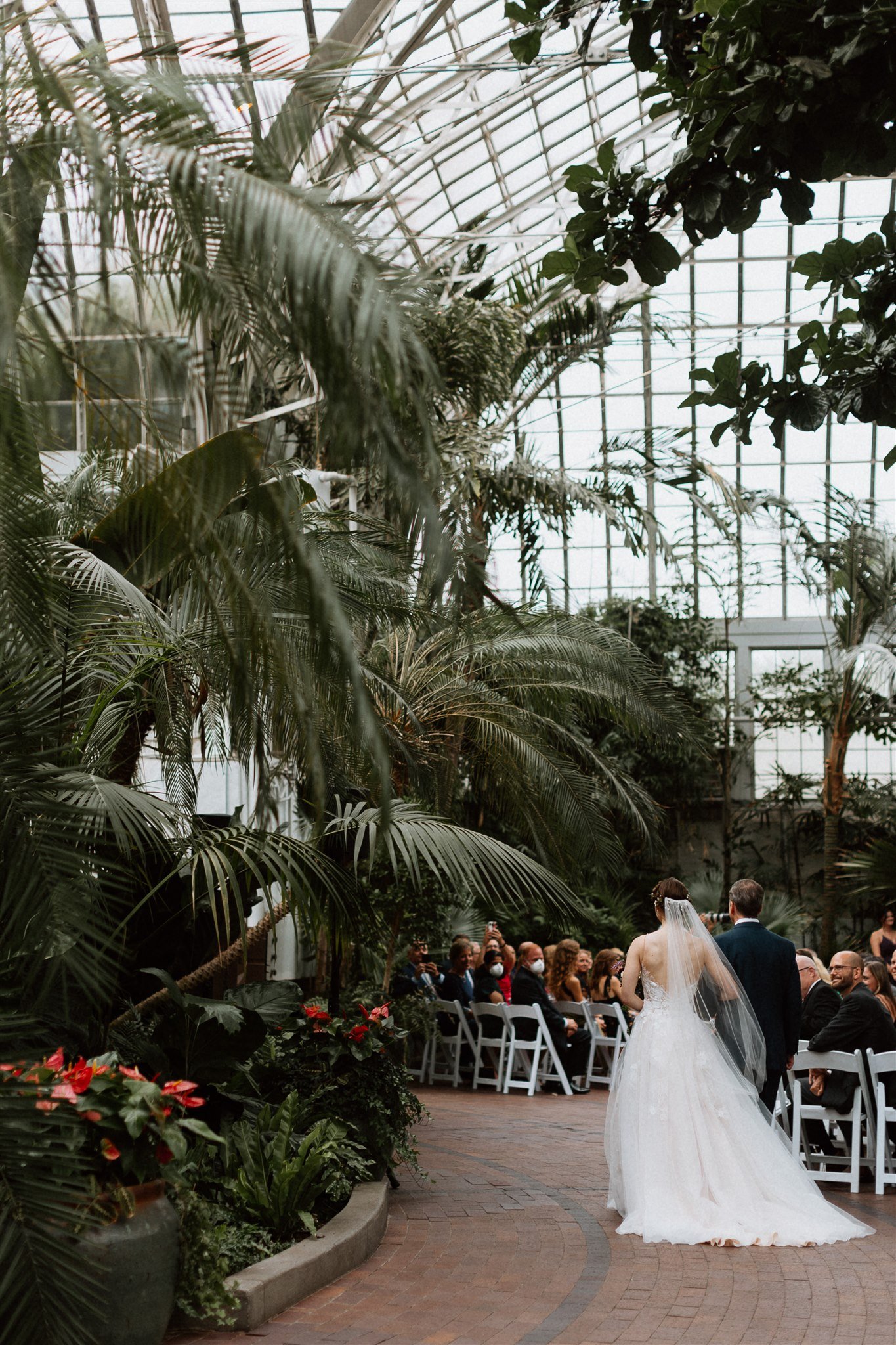 Wedding Processional in Greenhouse at Franklin park conservatory 