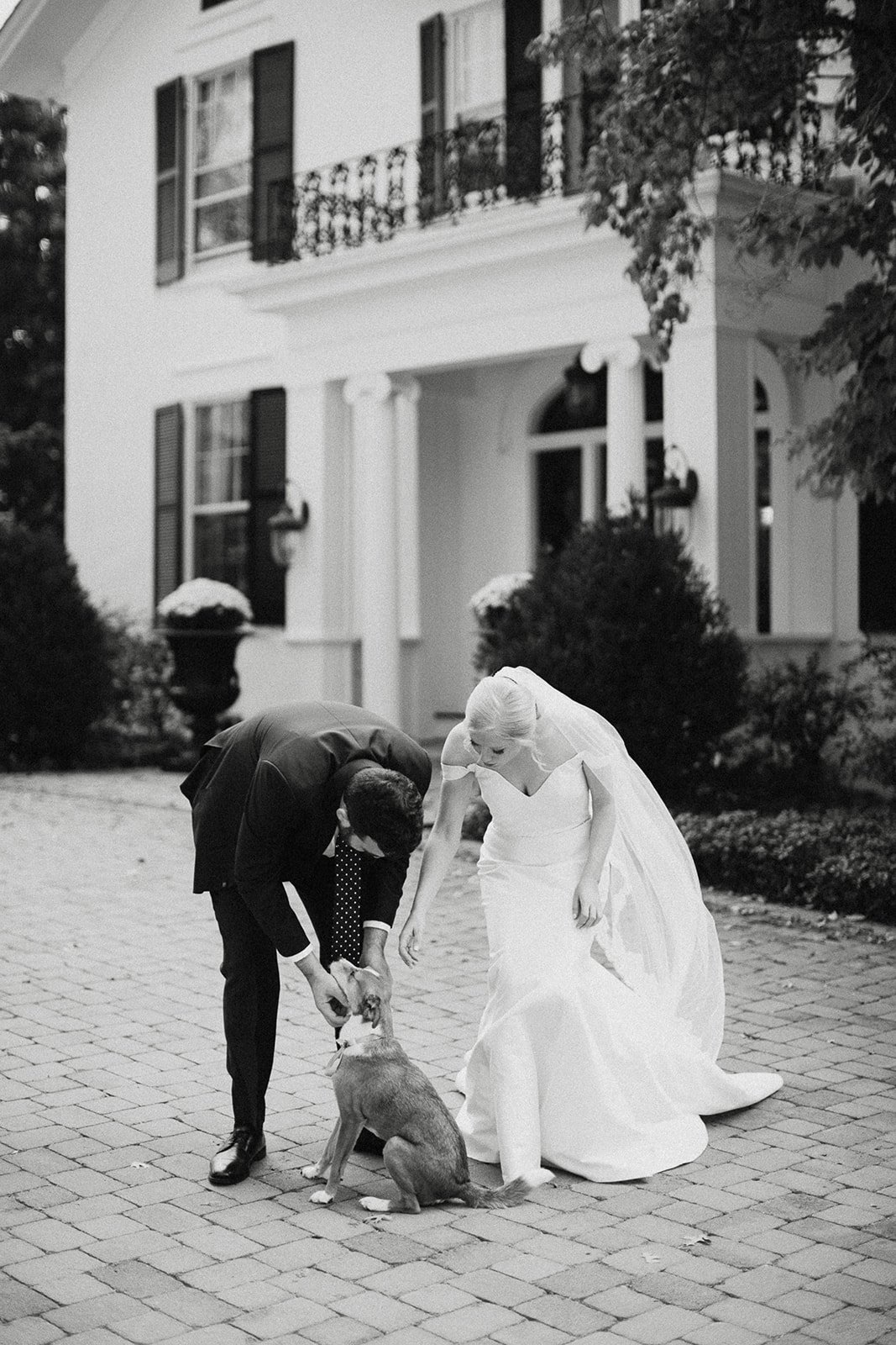 bride and groom with dog