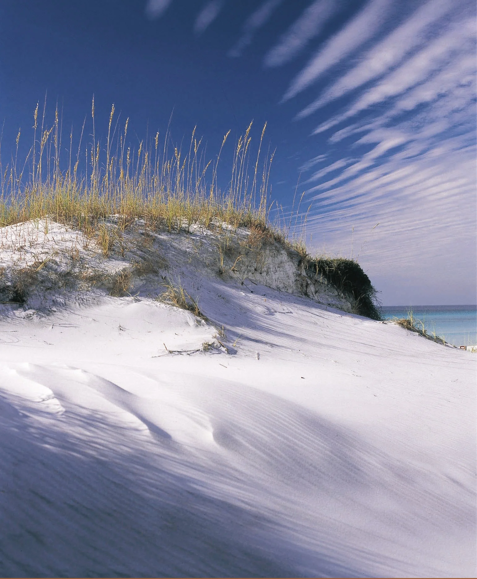 South Walton Sand Dunes