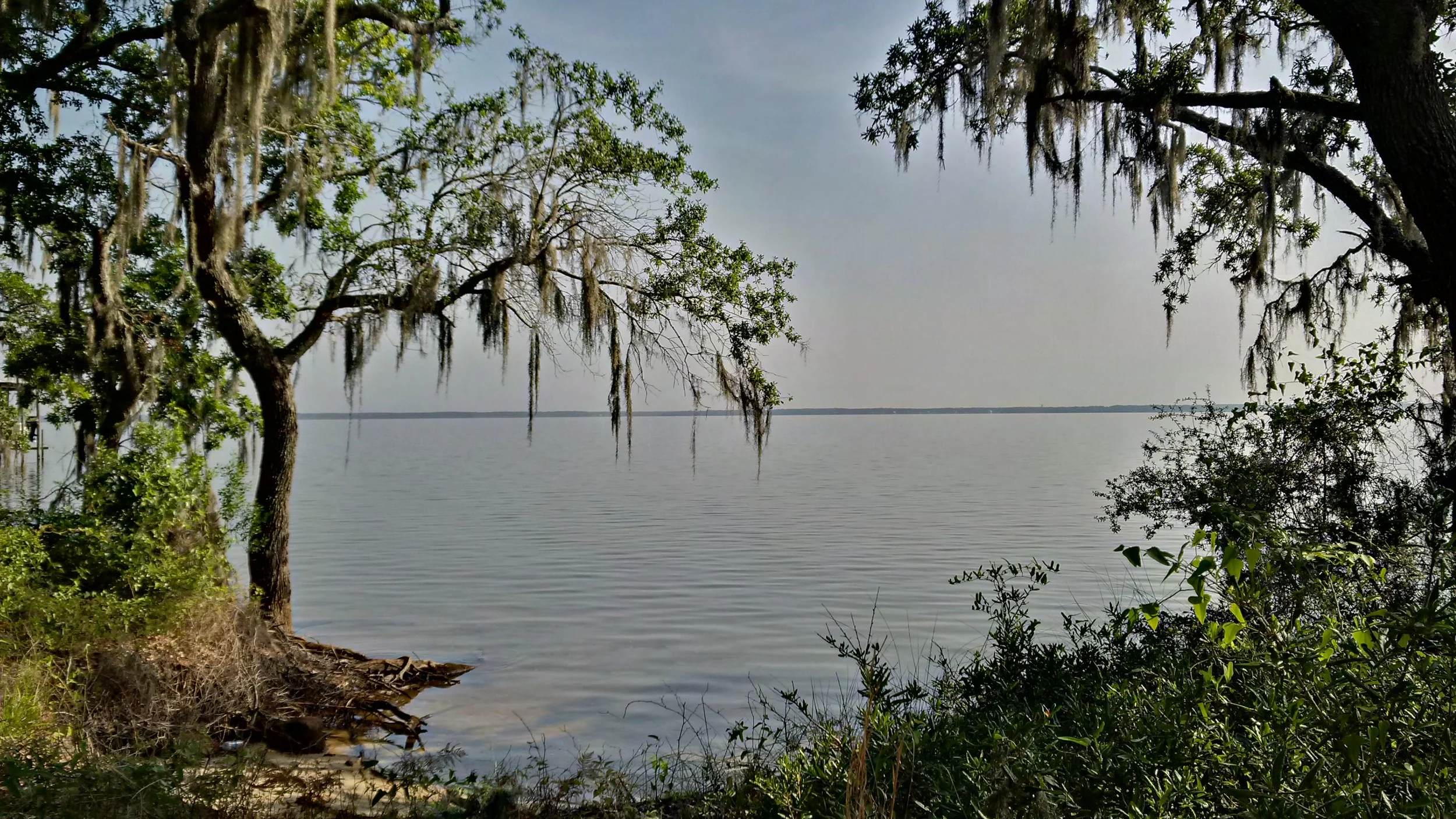 Craftsman'sCove.jpg