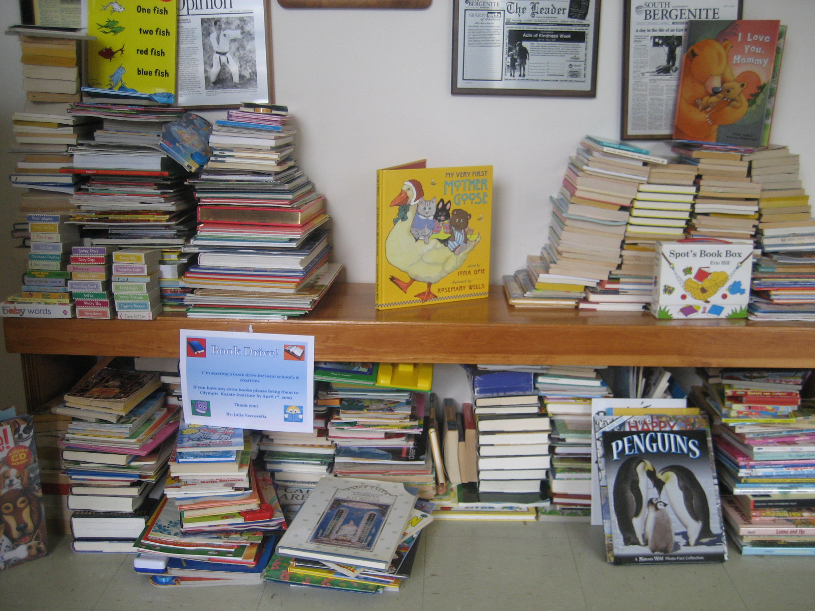 thedojo-book-drive-1000-books-rasied-by-julia_25178193330_o.jpg