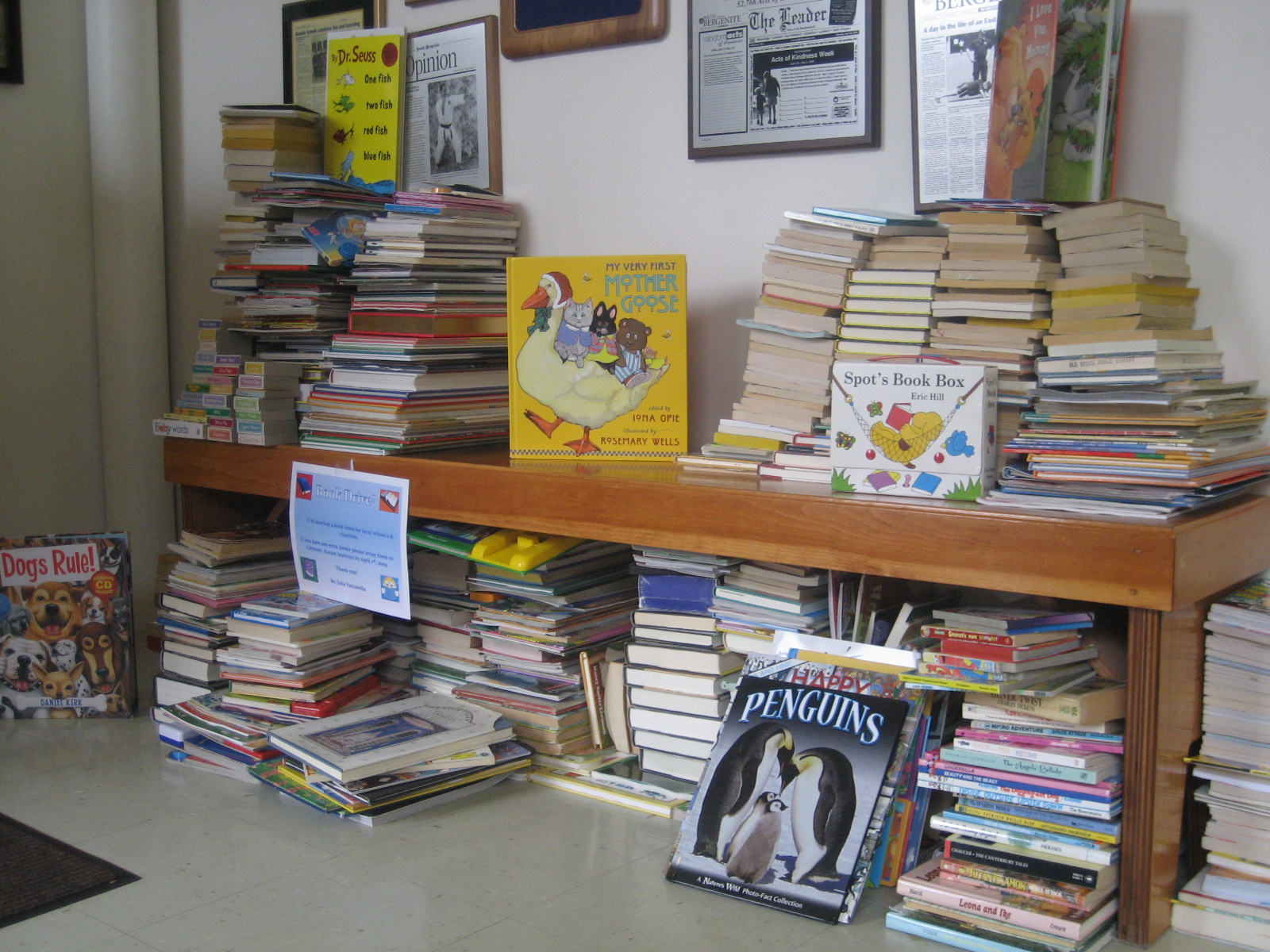 thedojo-book-drive-1000-books-rasied-by-julia_25380906471_o.jpg