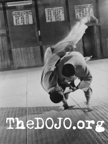 Judo Vinatage Picture.jpg