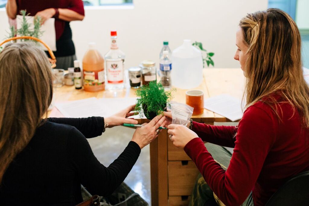 Central Collective Workshops and Events
