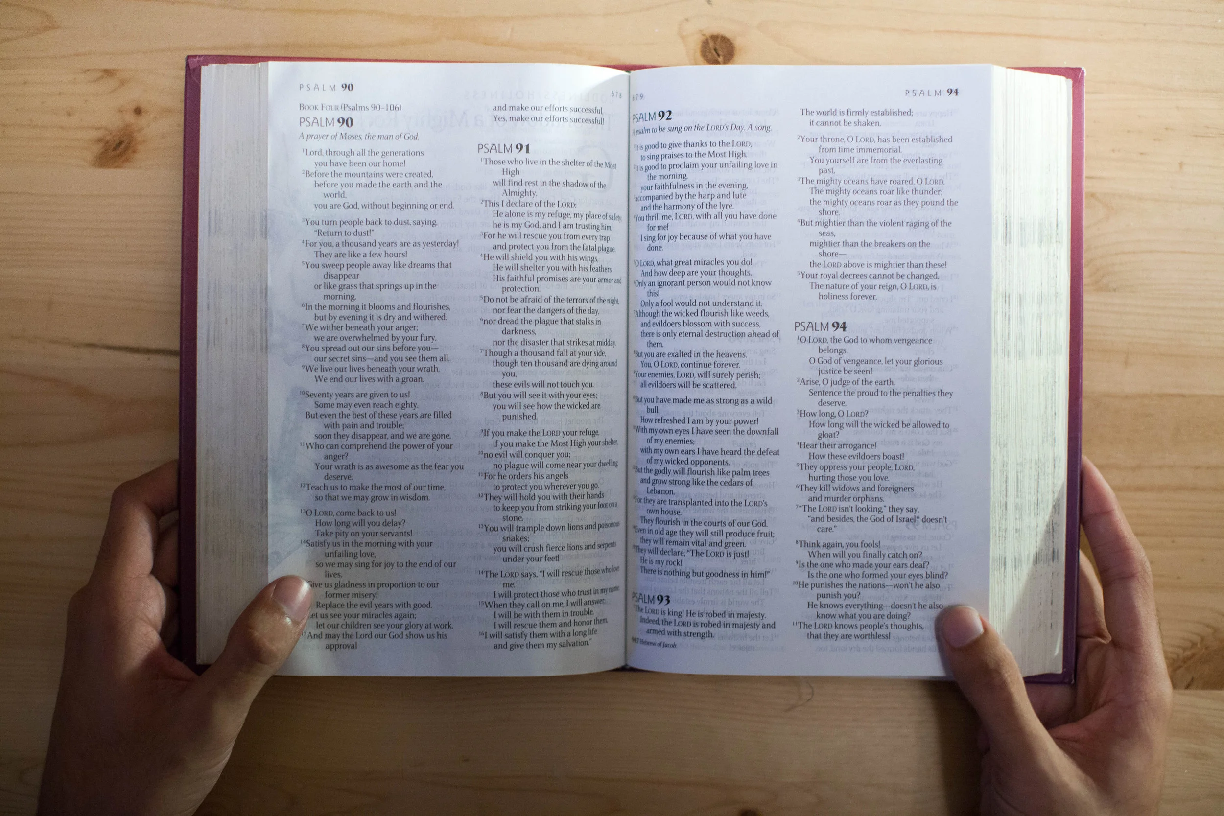 lightstock_169269_medium_jan_.jpg