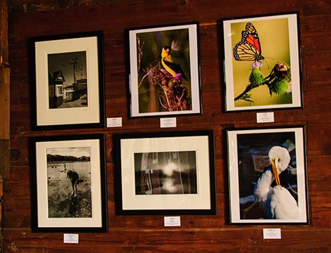  Works by Rick DeFalco and Dumitru Drinovan