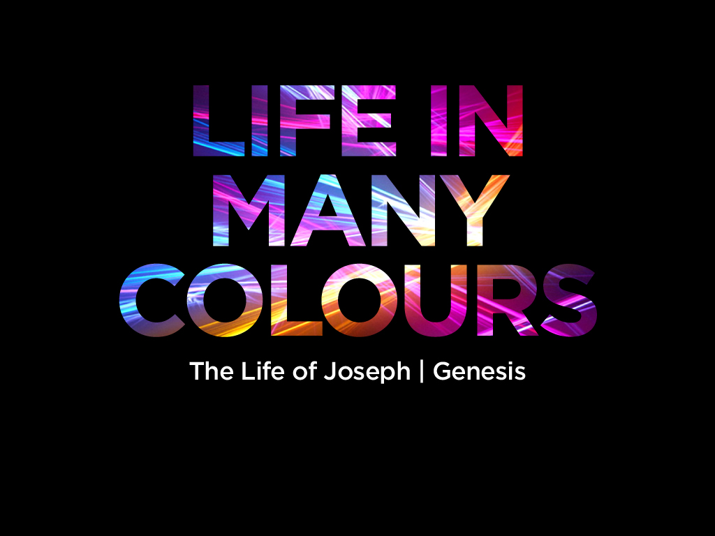 Life in many colours - view series