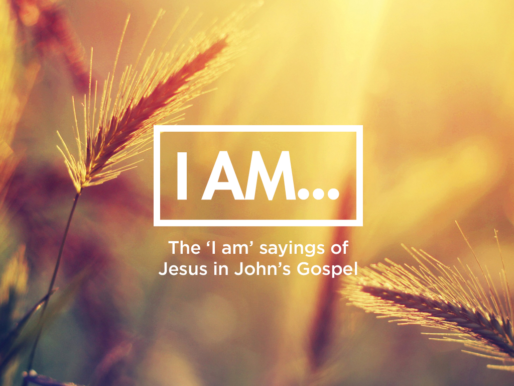 I AM - View series