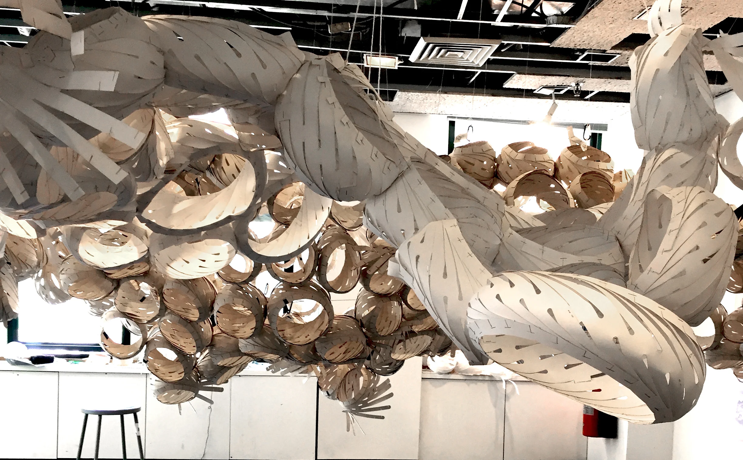 paper and veneer mock-up