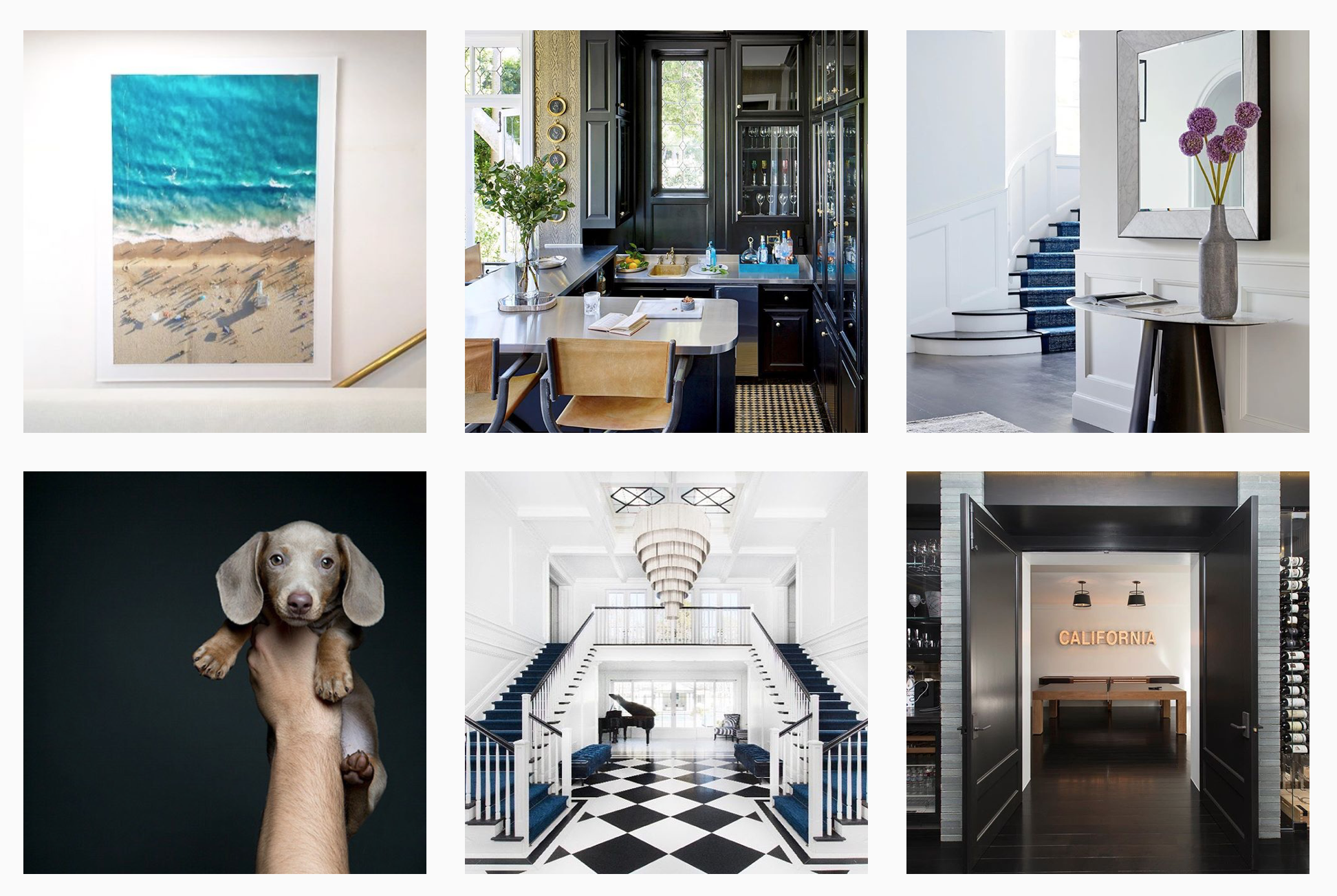 We follow @adamhunter for his beautiful designs. And for his adorable dog, Bodhi . :)