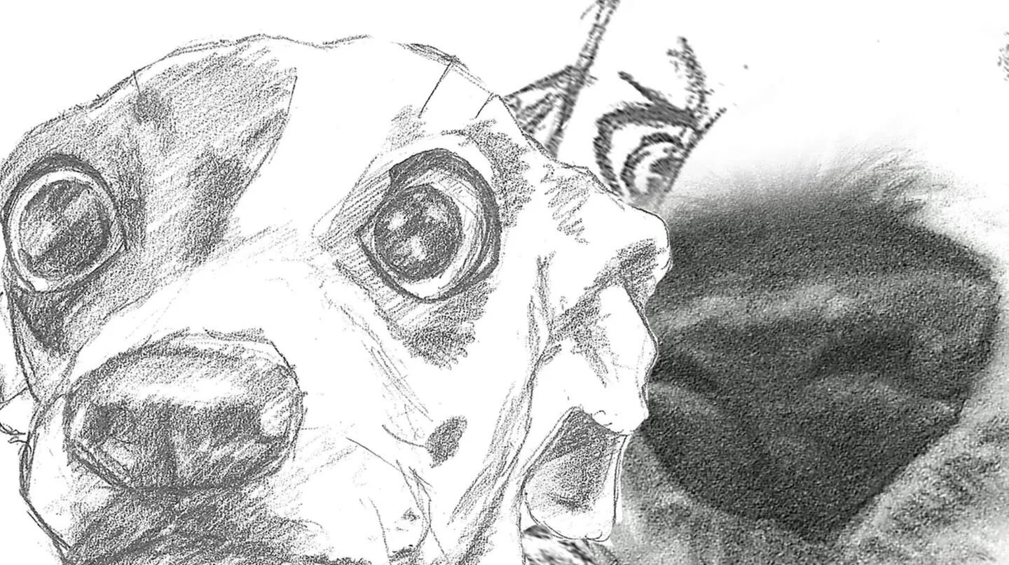 Next cats and now dogs!!

A little sneak peak of a future painting for my personal portfolio. This one is probably my absolute favorite illustration by far!

#dogs #doggo #drawingsketch #pencilsketch #pencil #illustration #illustrators #illustratorso