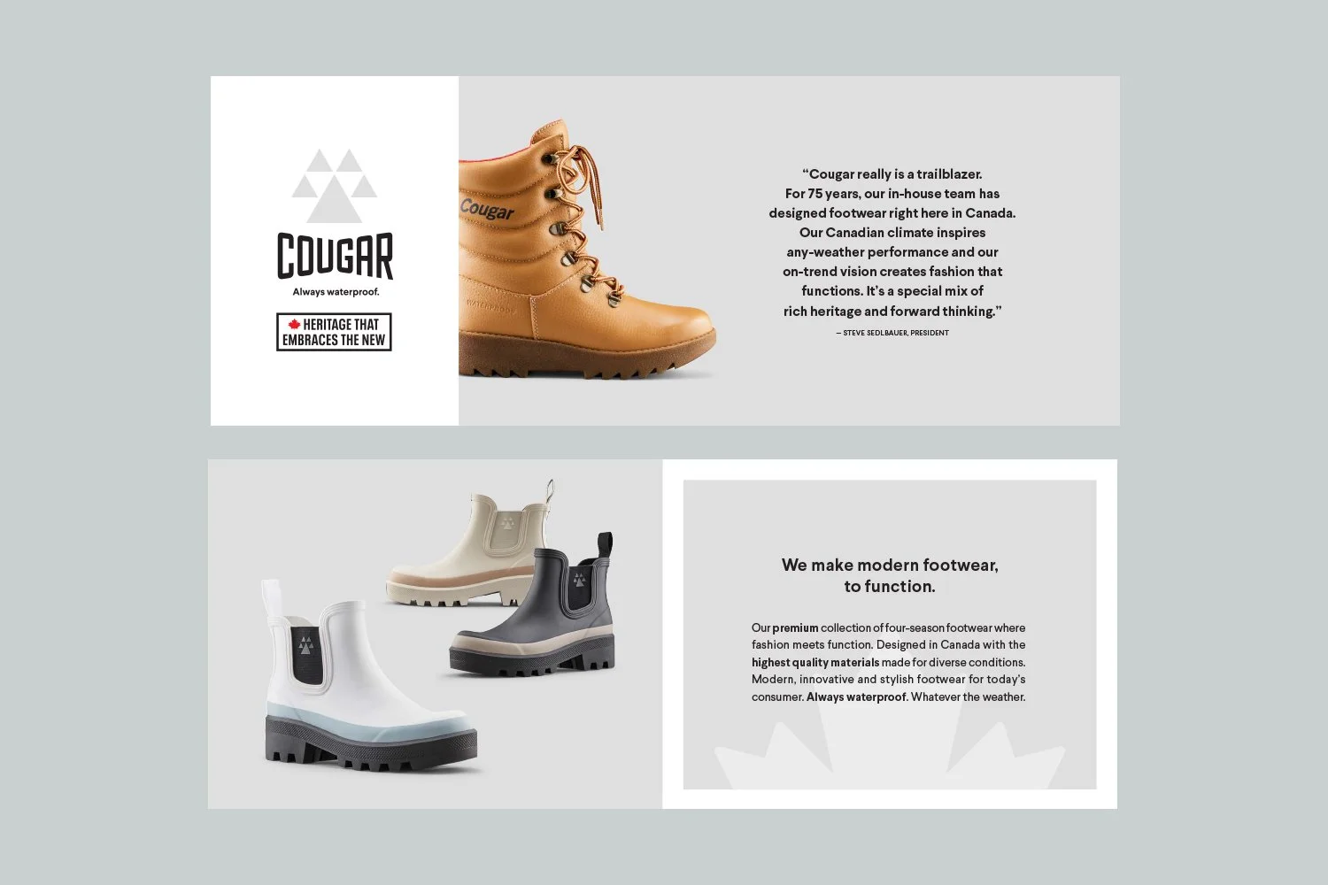 Cougar_Branding_Campaigns-2.jpg