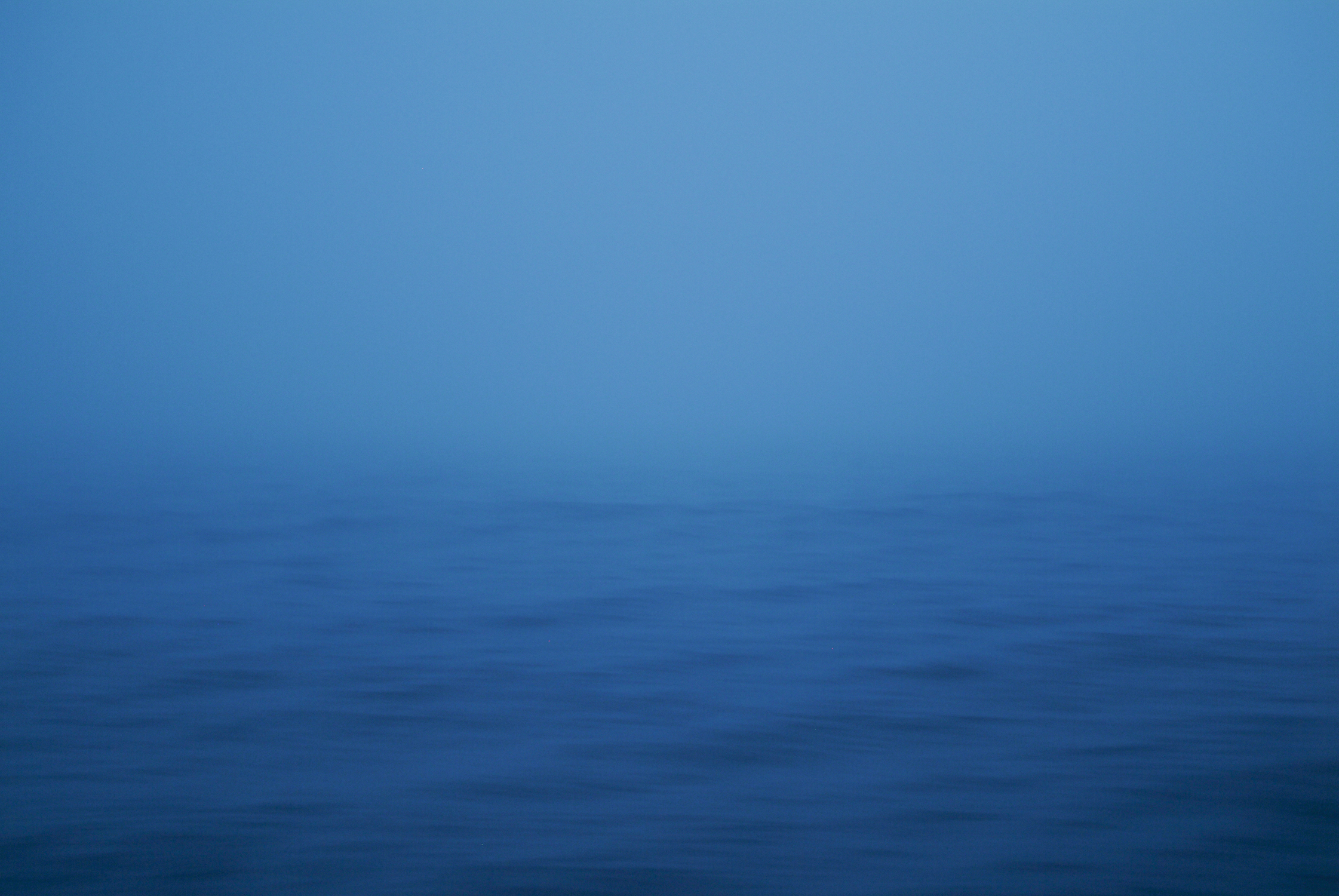 LeslieClementsParrott_OpenOcean-2-4website.jpg