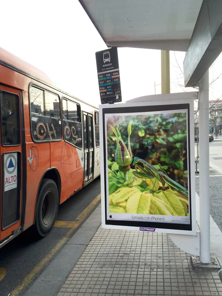 SantiagoChileBusStop-iPhone6PrayingMantis-web_2.jpg