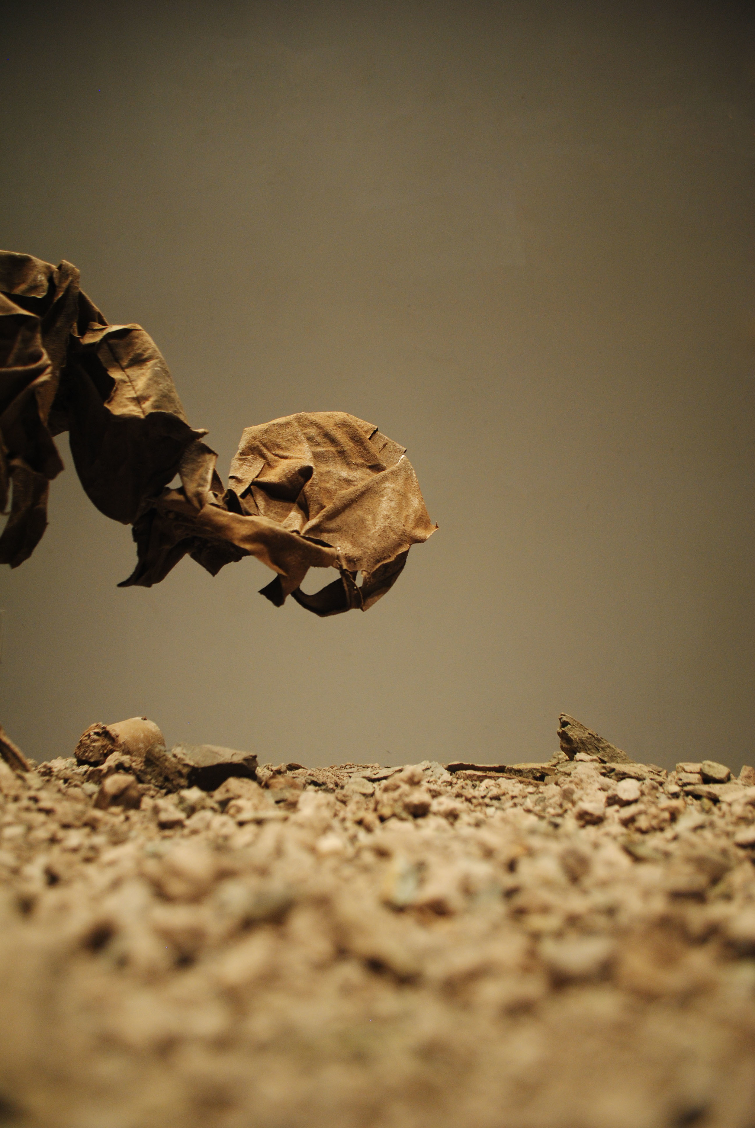 clay, gypsum , fabric, iron, wood | 2014