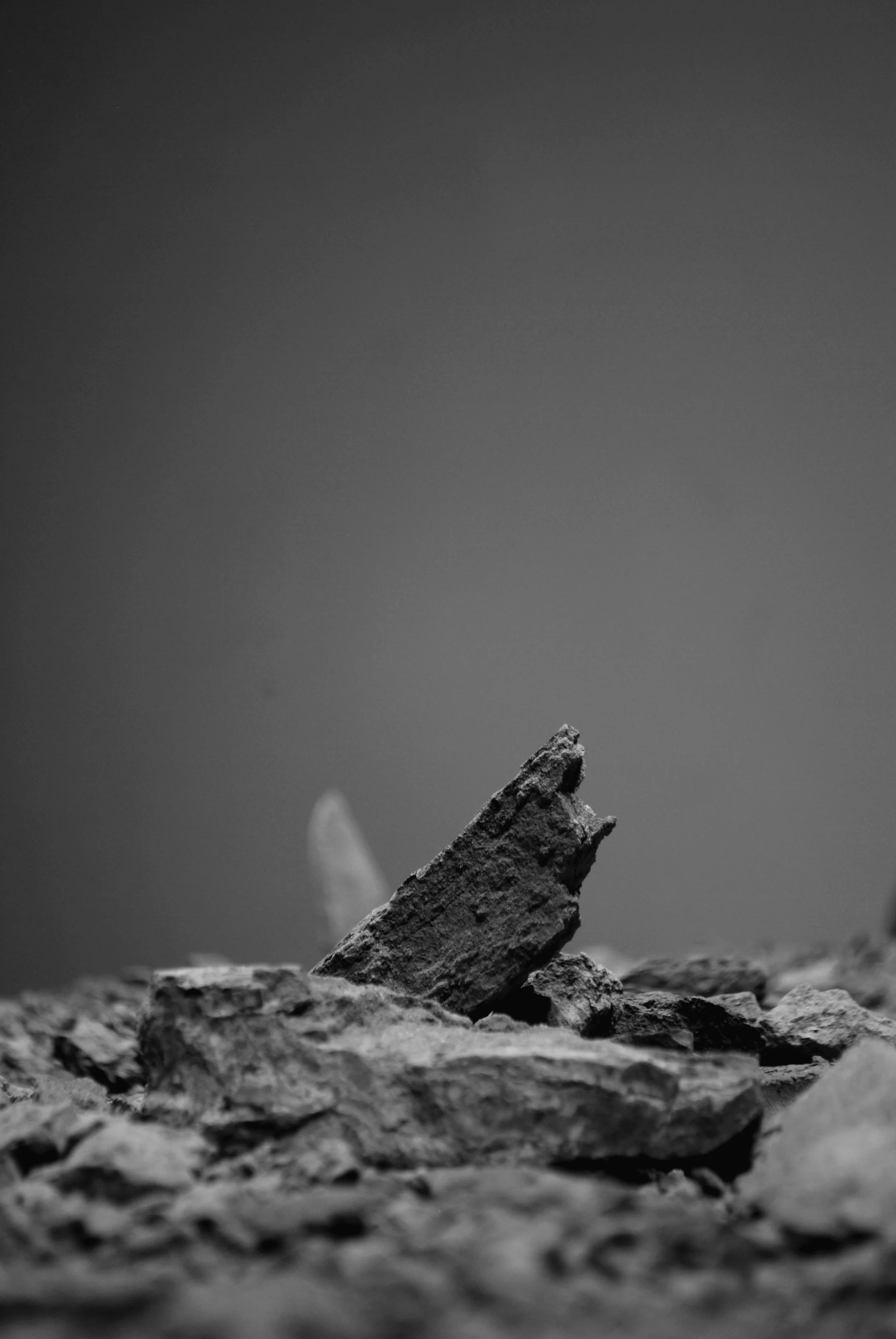clay, gypsum , fabric, iron, wood | 2014