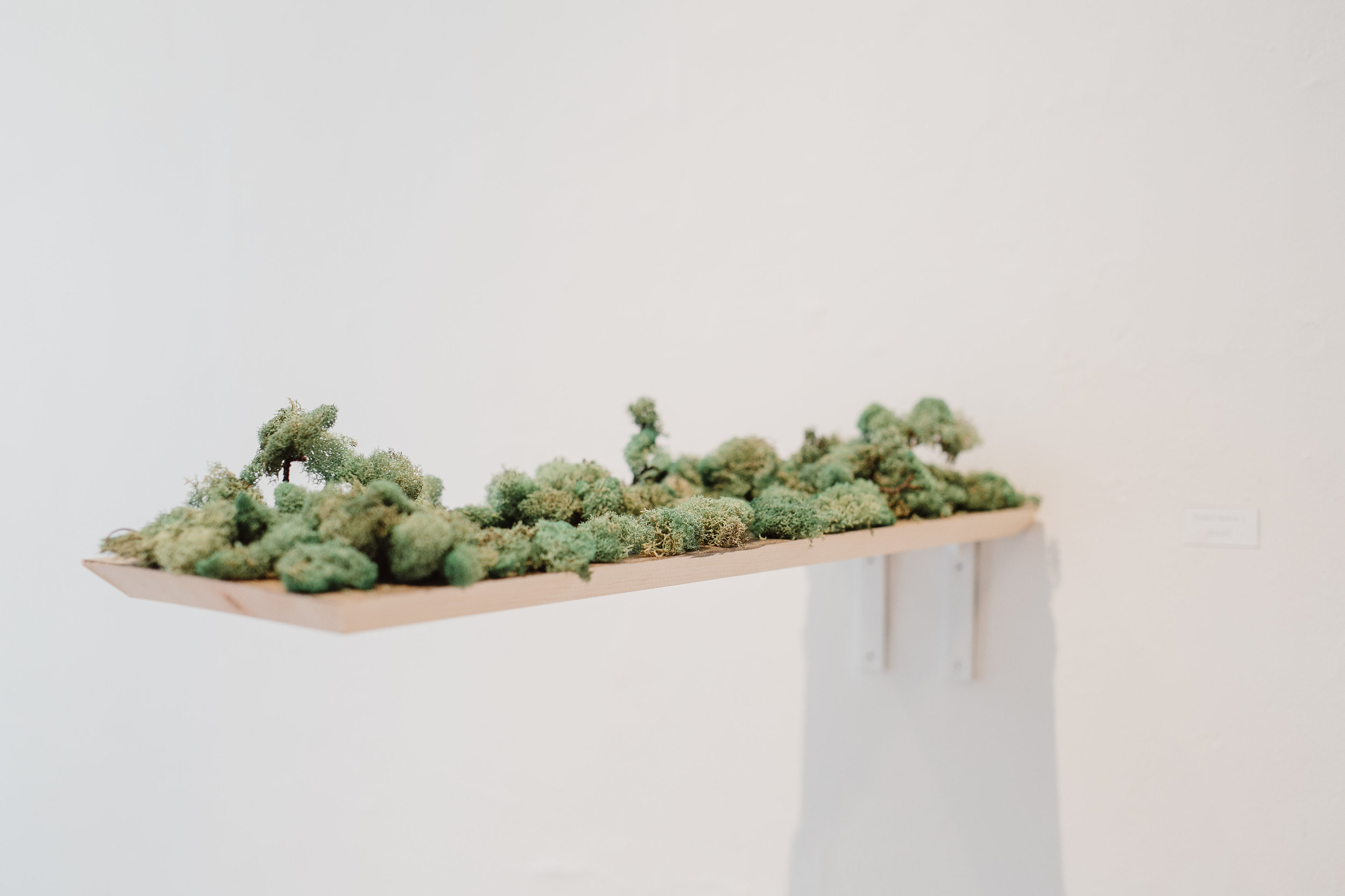 Elevation Series #1 wood, moss, water | SOLD