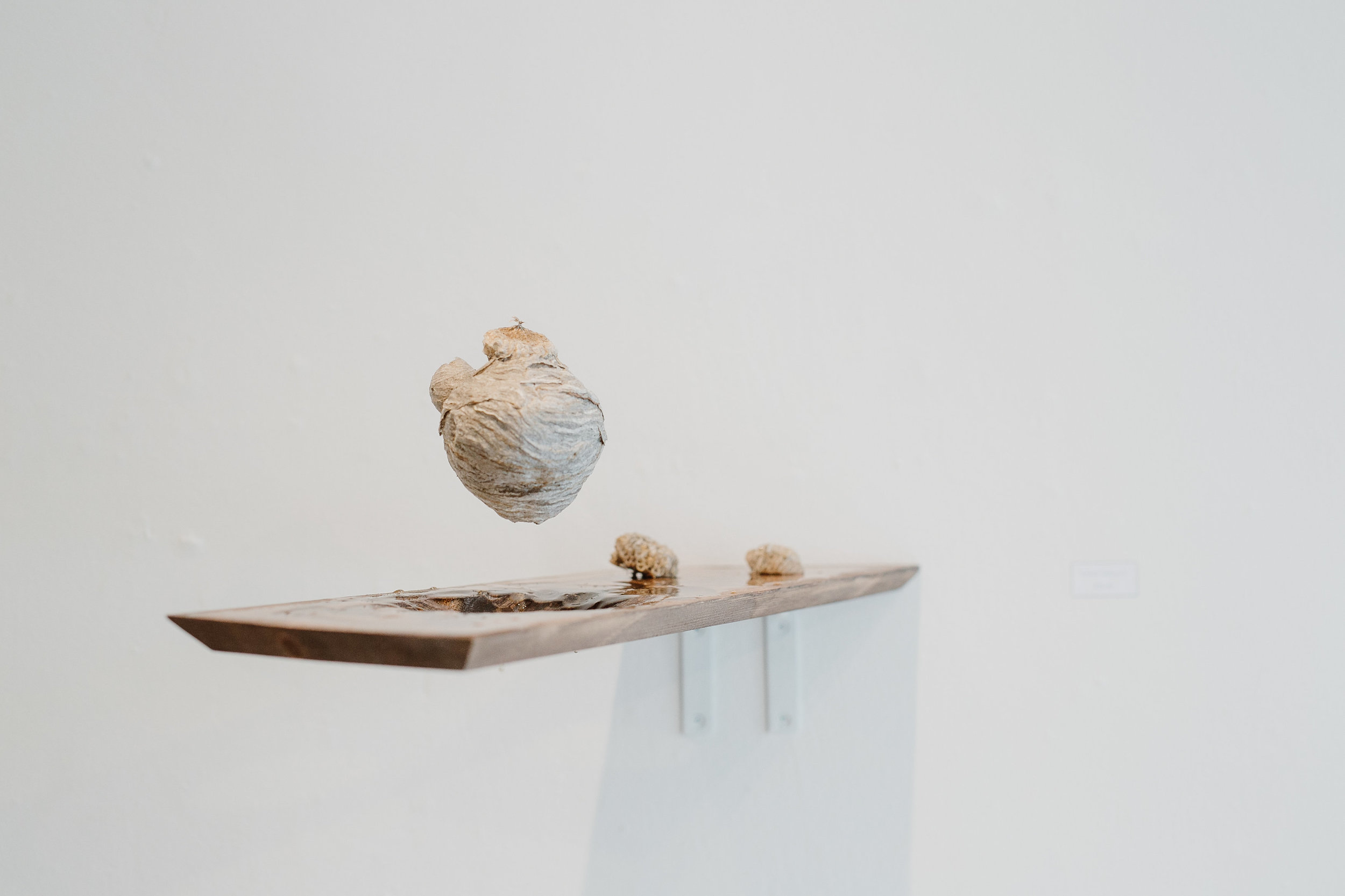 Elevation Series #6 wood, honey, beehive | $100