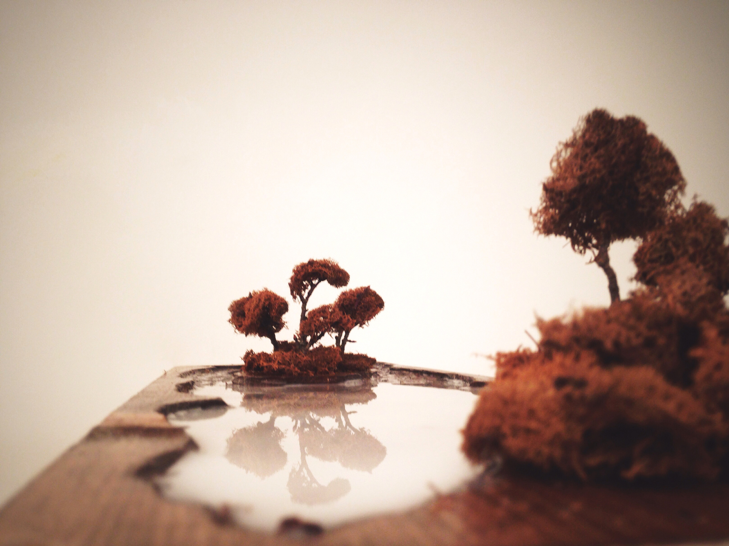 Elevation Series #8 wood, moss, water, paint | $100