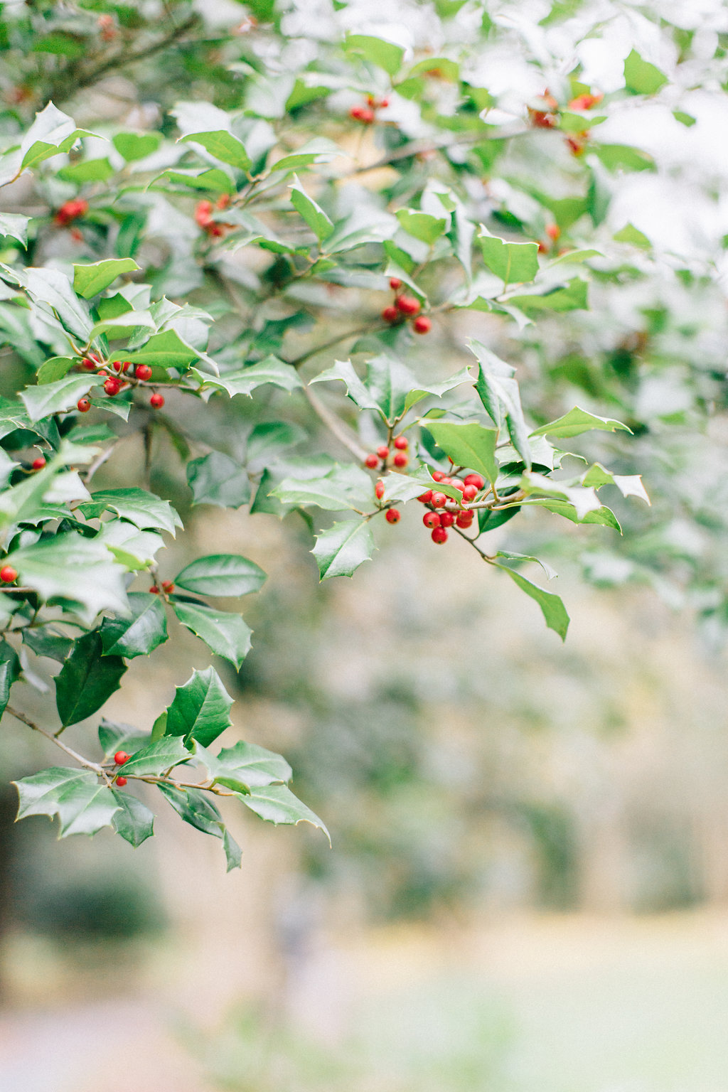 AllenWedding-4.jpg