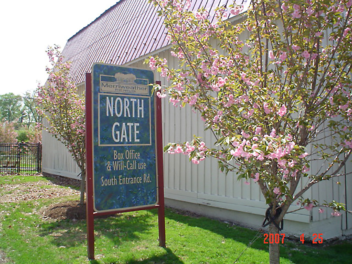 Cherry tree at Merriweather post 2007