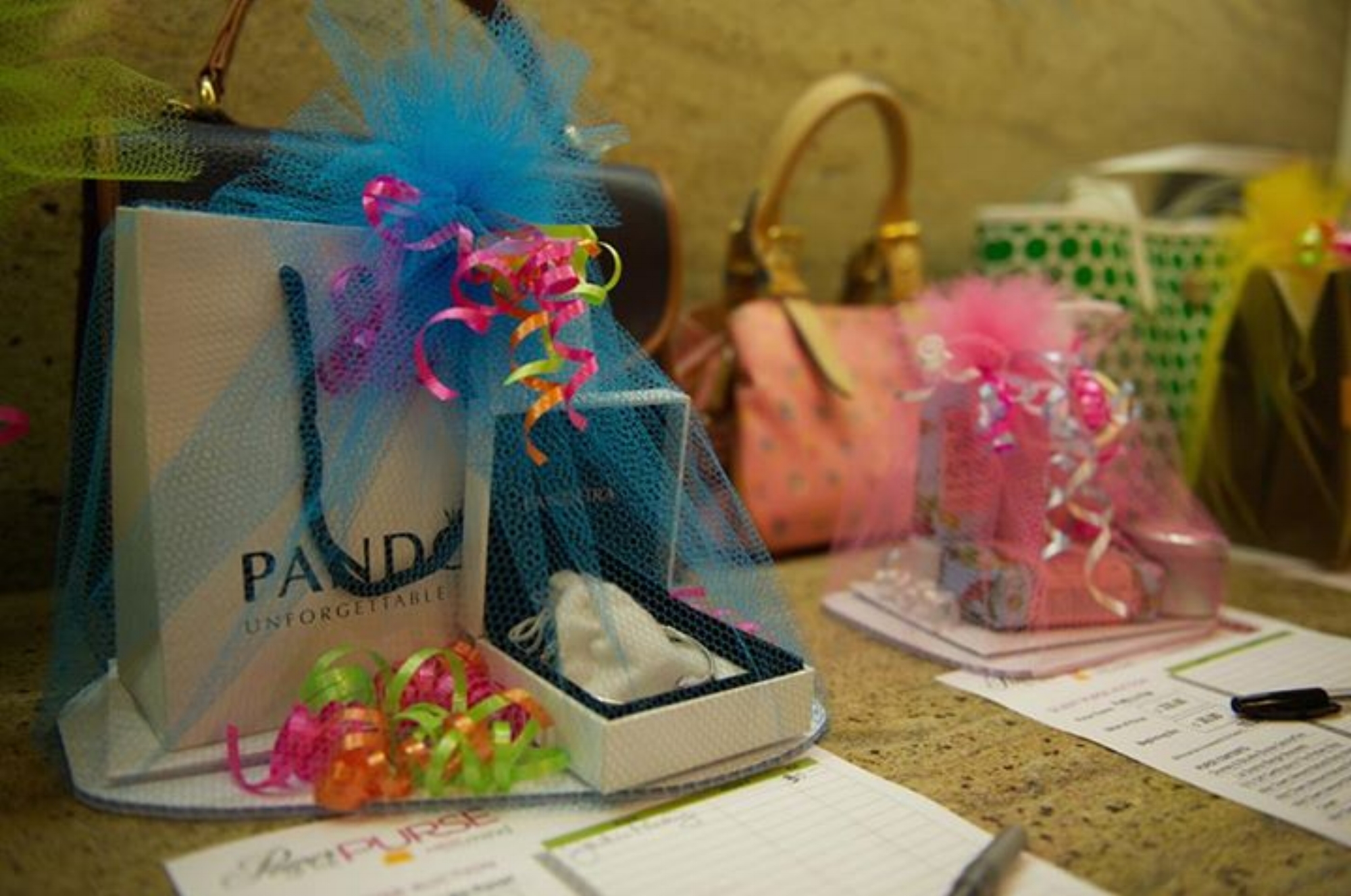 Power of the Purse is scheduled for Monday, June 8th, 2015 and will be held at Fretz Kitchen Showroom in Columbia. Gently used and vintage purses will be available for cash and carry. New and designer handbags, some of which will be filled with goodies, will be included in the Silent Auction. There will be light fare, networking, and much more! Photos courtesy of Pam Long Photography