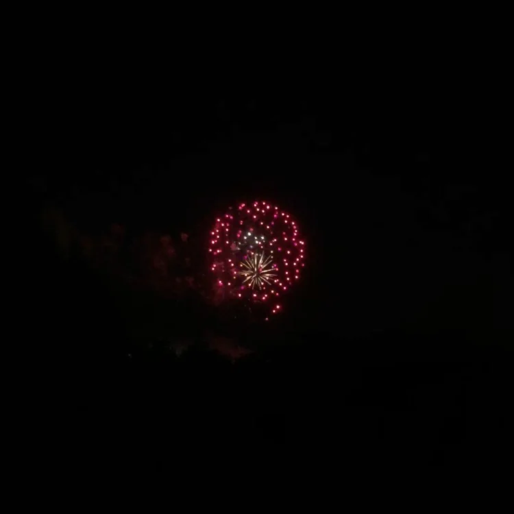 I didn't take a bunch of pictures of fireworks because I was too busy singing occasion appropriate songs. 