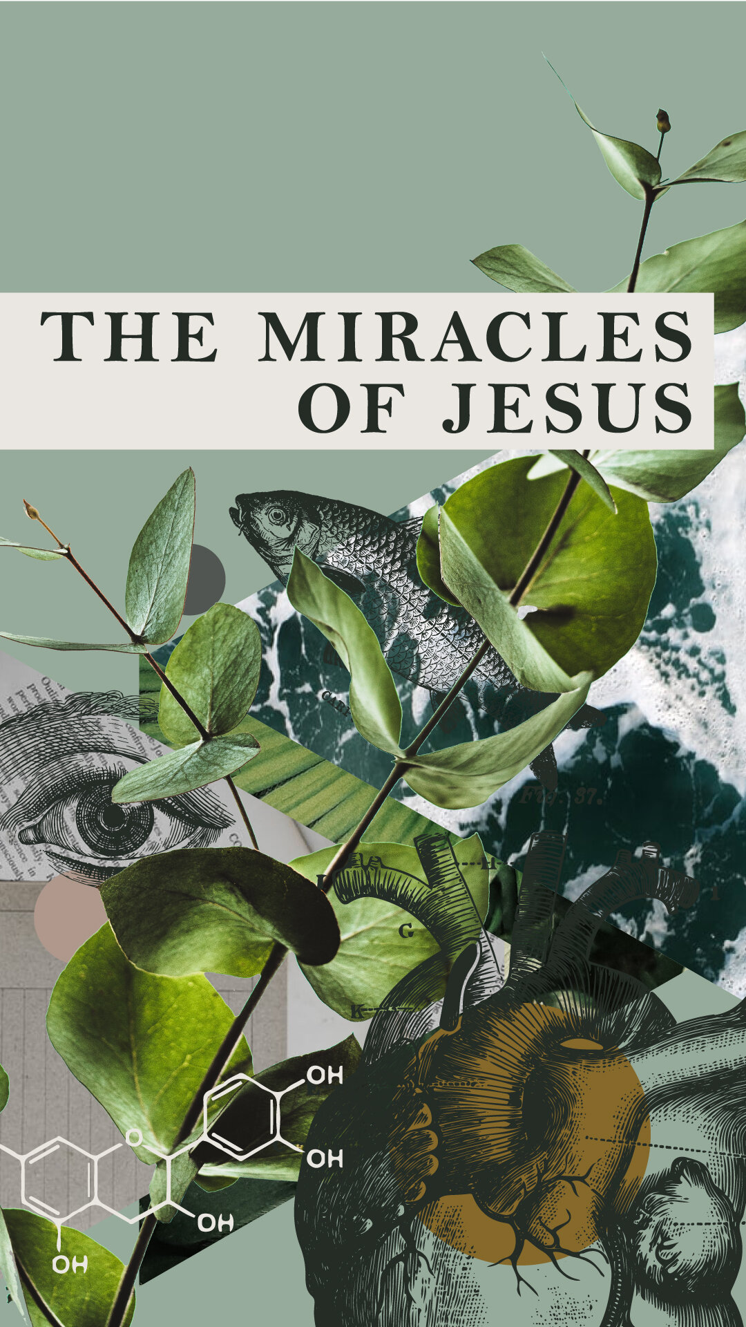 The-Miracles-of-Jesus_display.jpg