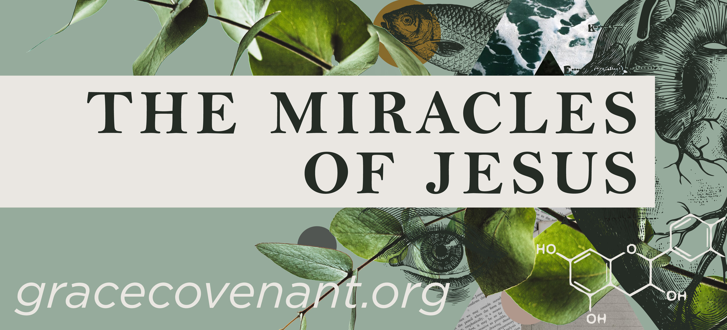 The-Miracles-of-Jesus_banner.jpg