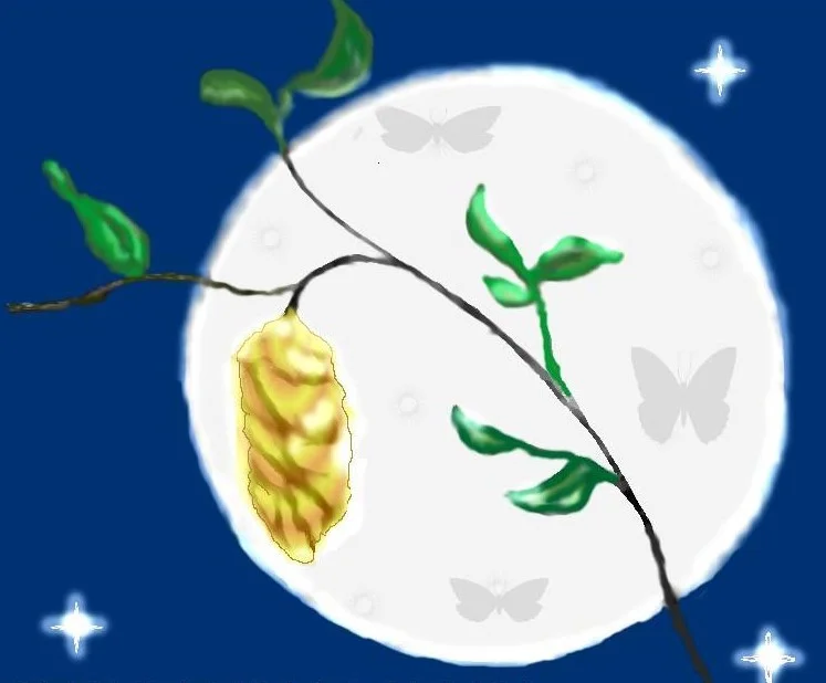 MOON #2.jpg